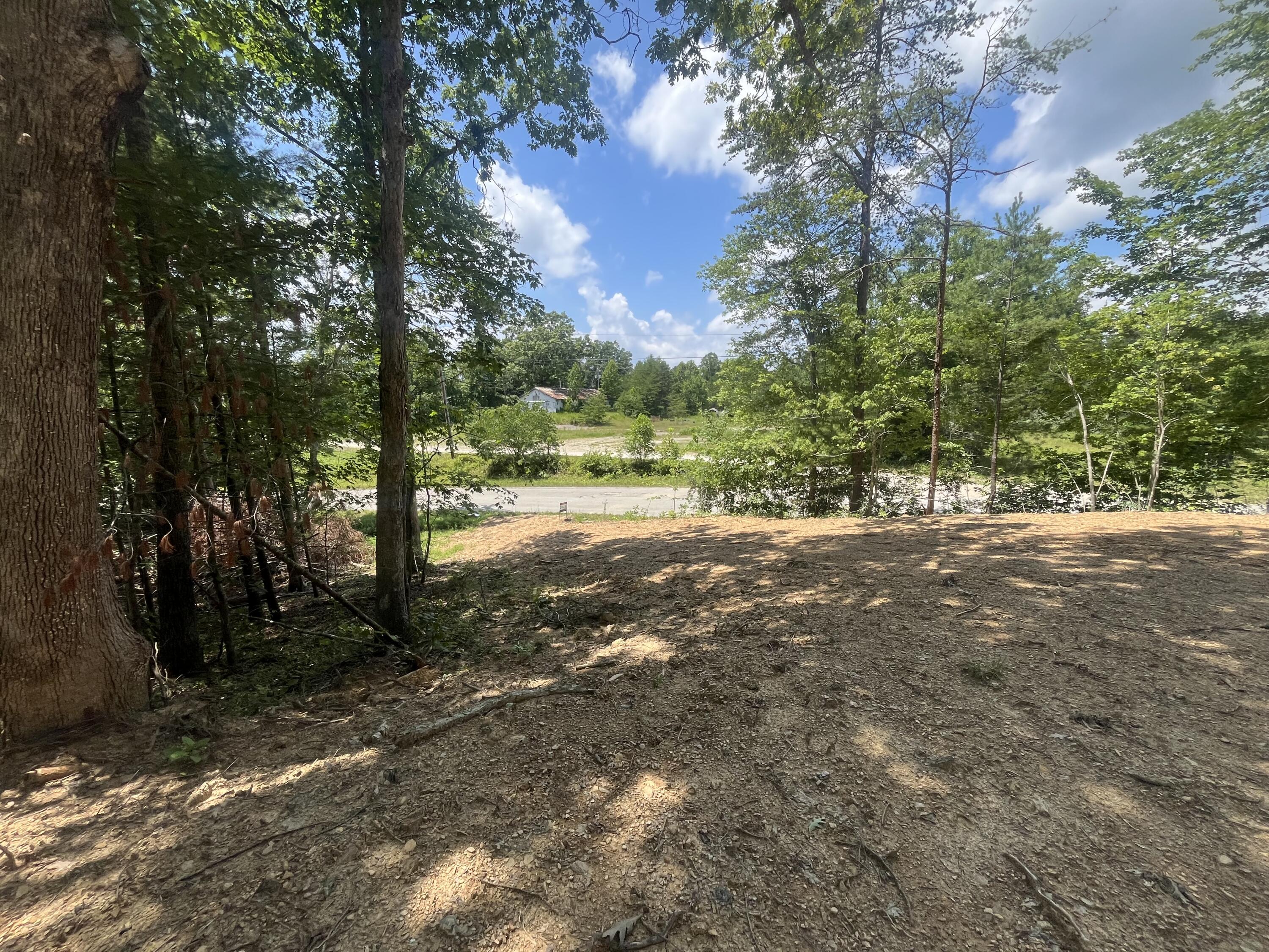 Lot #1j Ashland Camp Loop Zoe Ky Property Photo 4