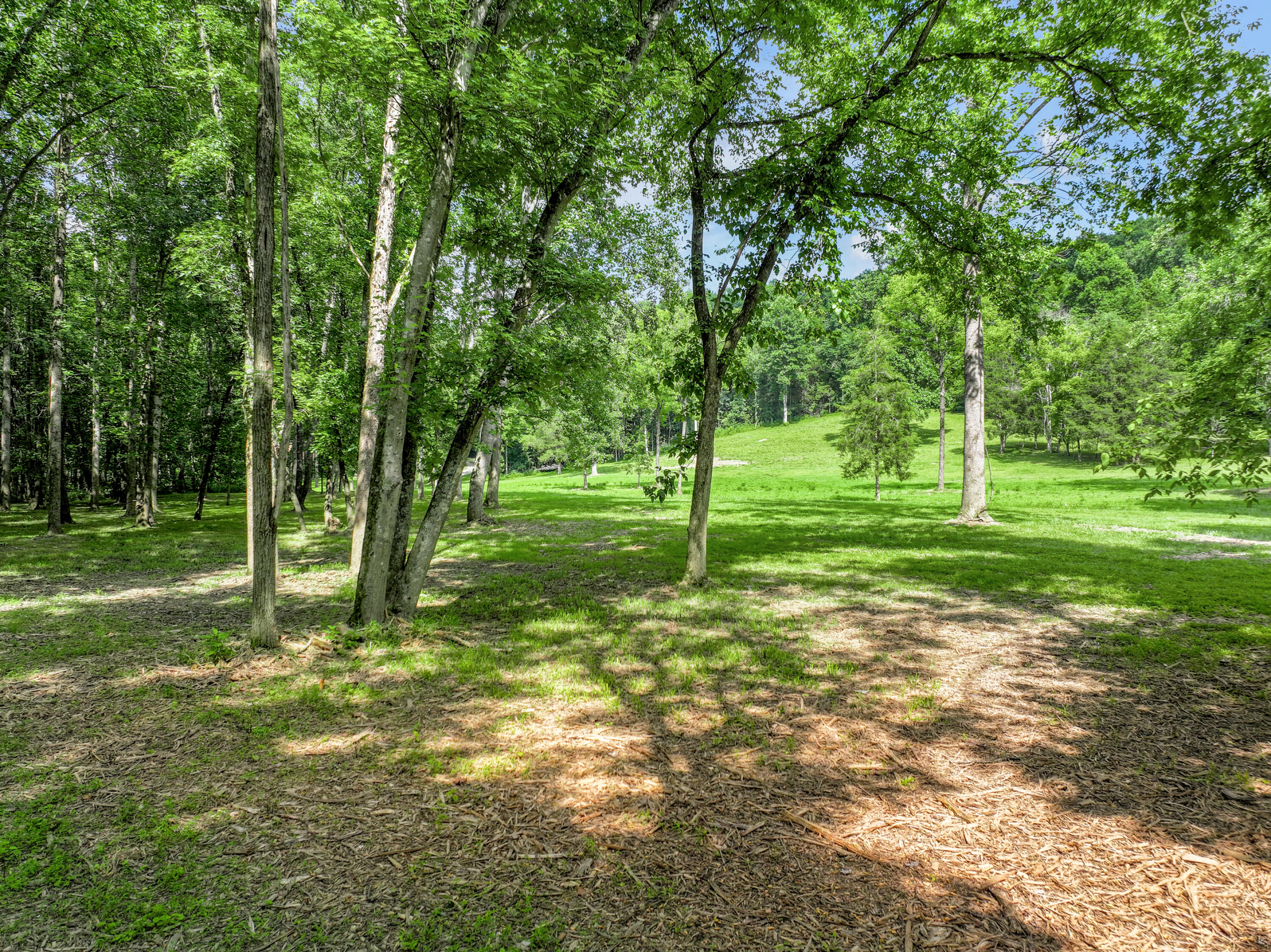 231 Fintville Road Property Photo 25