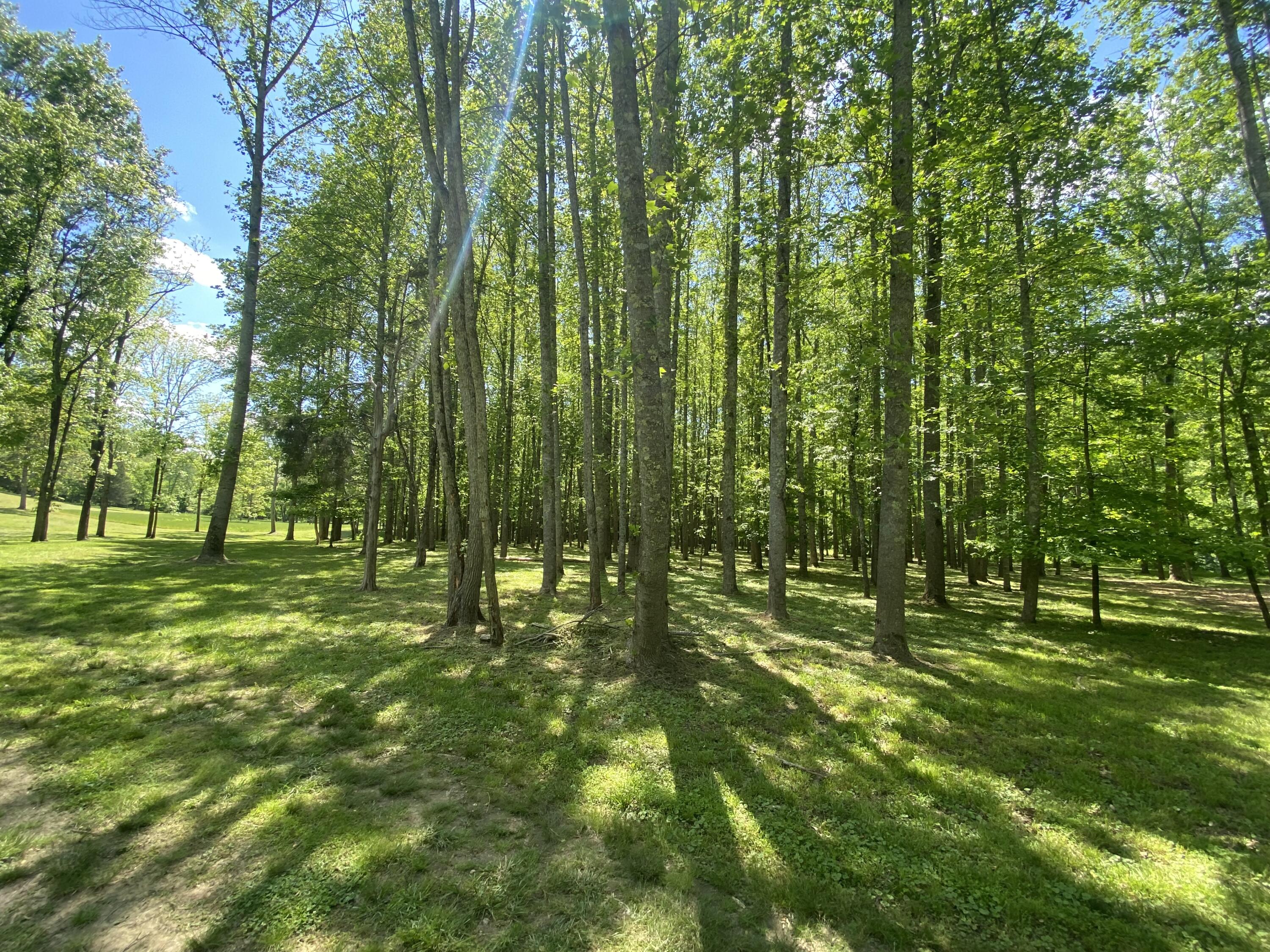 231 Fintville Road Property Photo 31