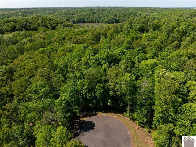 Lot 95 Pelican Lane Property Photo 9