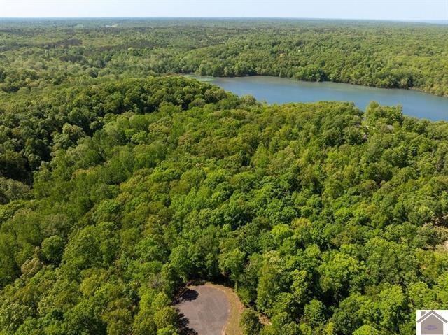 Lot 95 Pelican Lane Property Photo 10