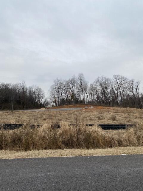 195 Clover Crescent Property Photo 3