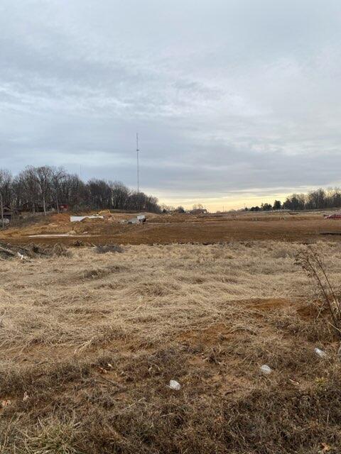195 Clover Crescent Property Photo 8
