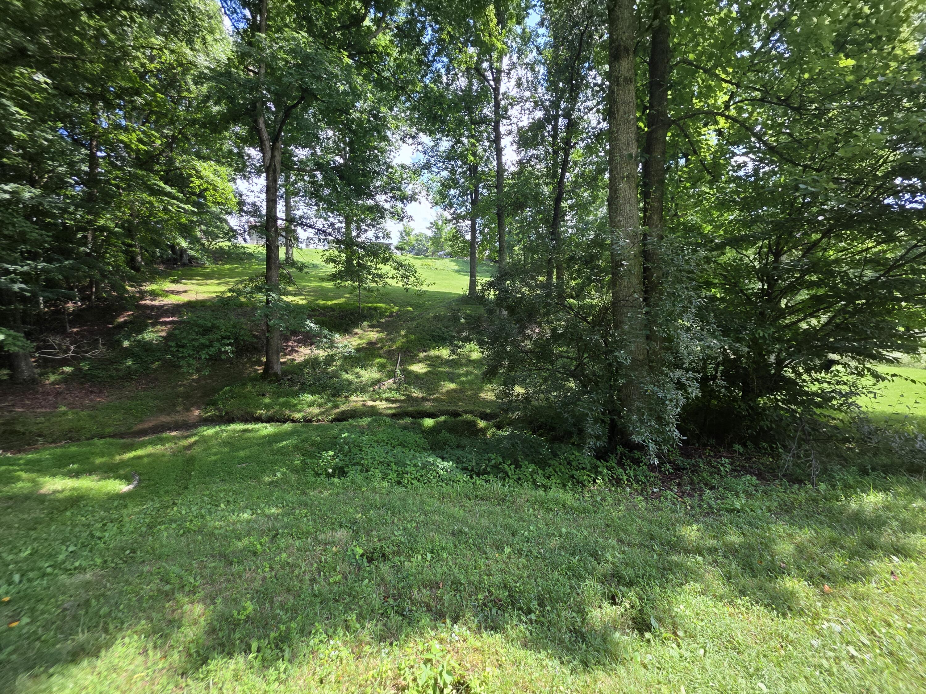 91 Blakley Subdivision Road Property Photo 15