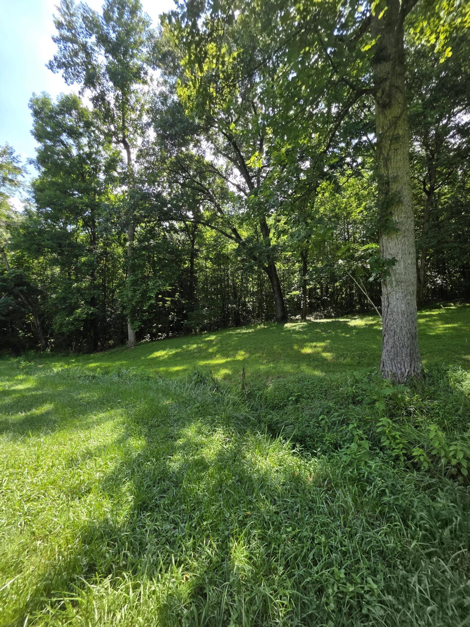 91 Blakley Subdivision Road Property Photo 17