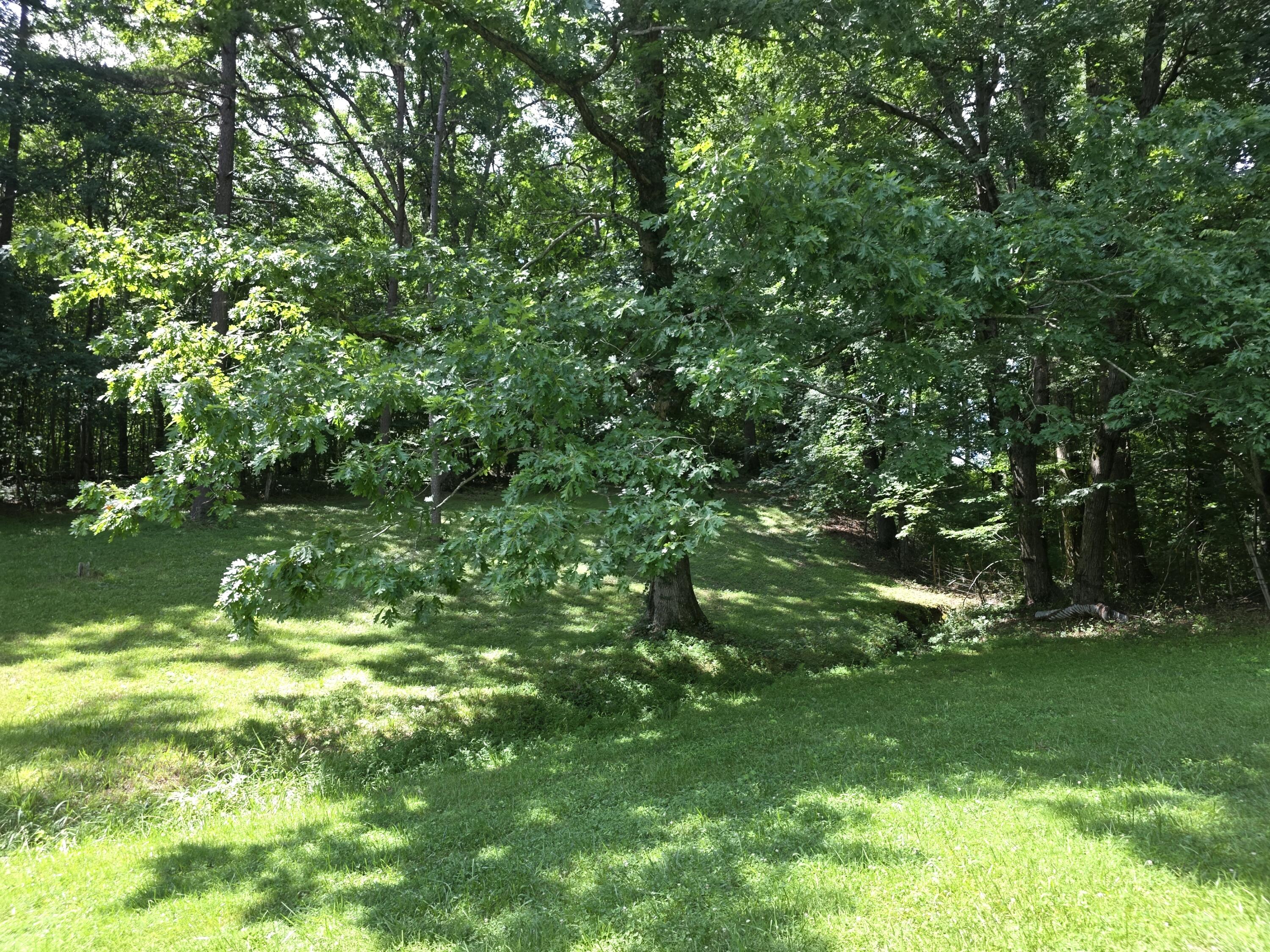 91 Blakley Subdivision Road Property Photo 19