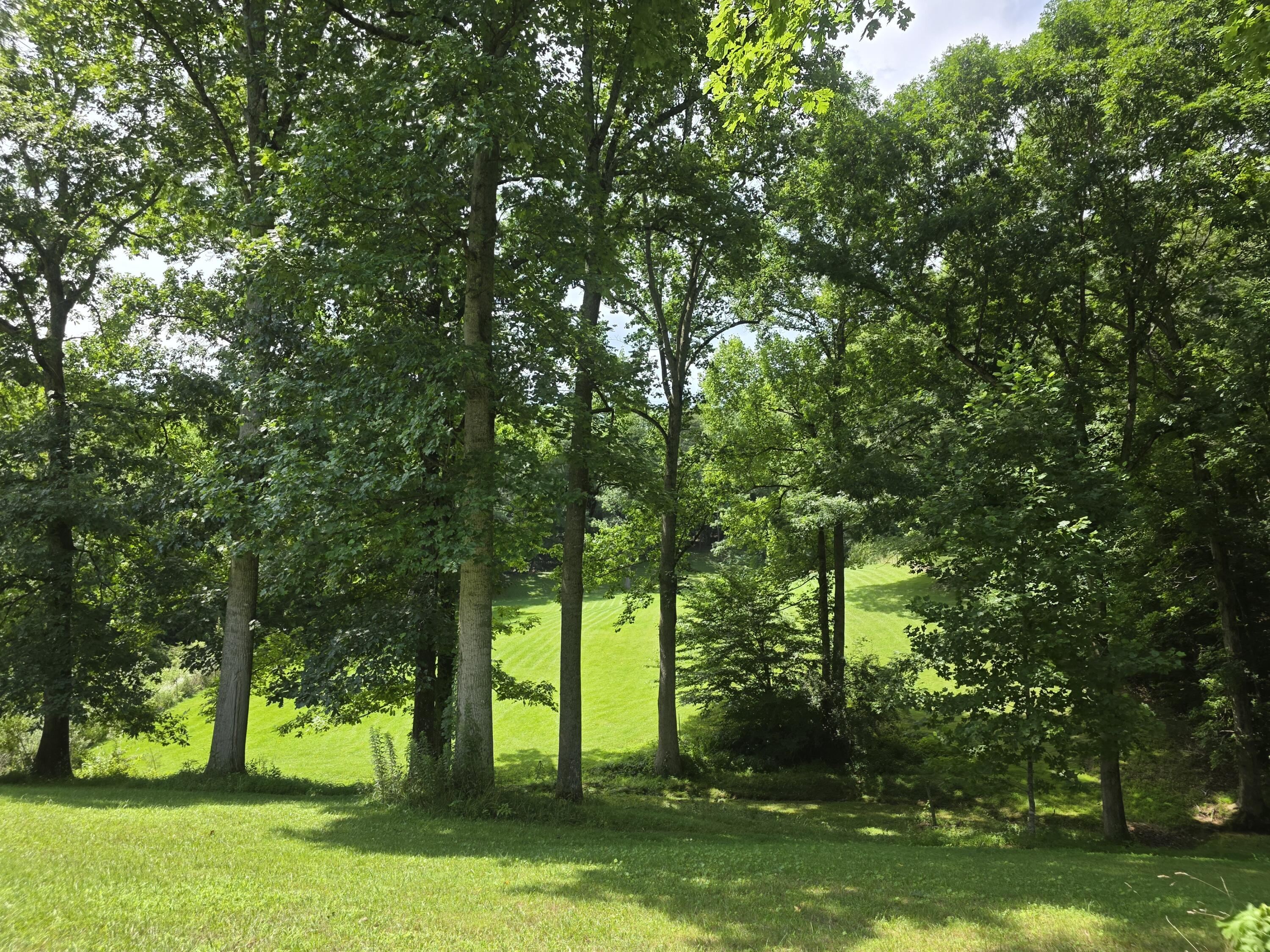 91 Blakley Subdivision Road Property Photo 20