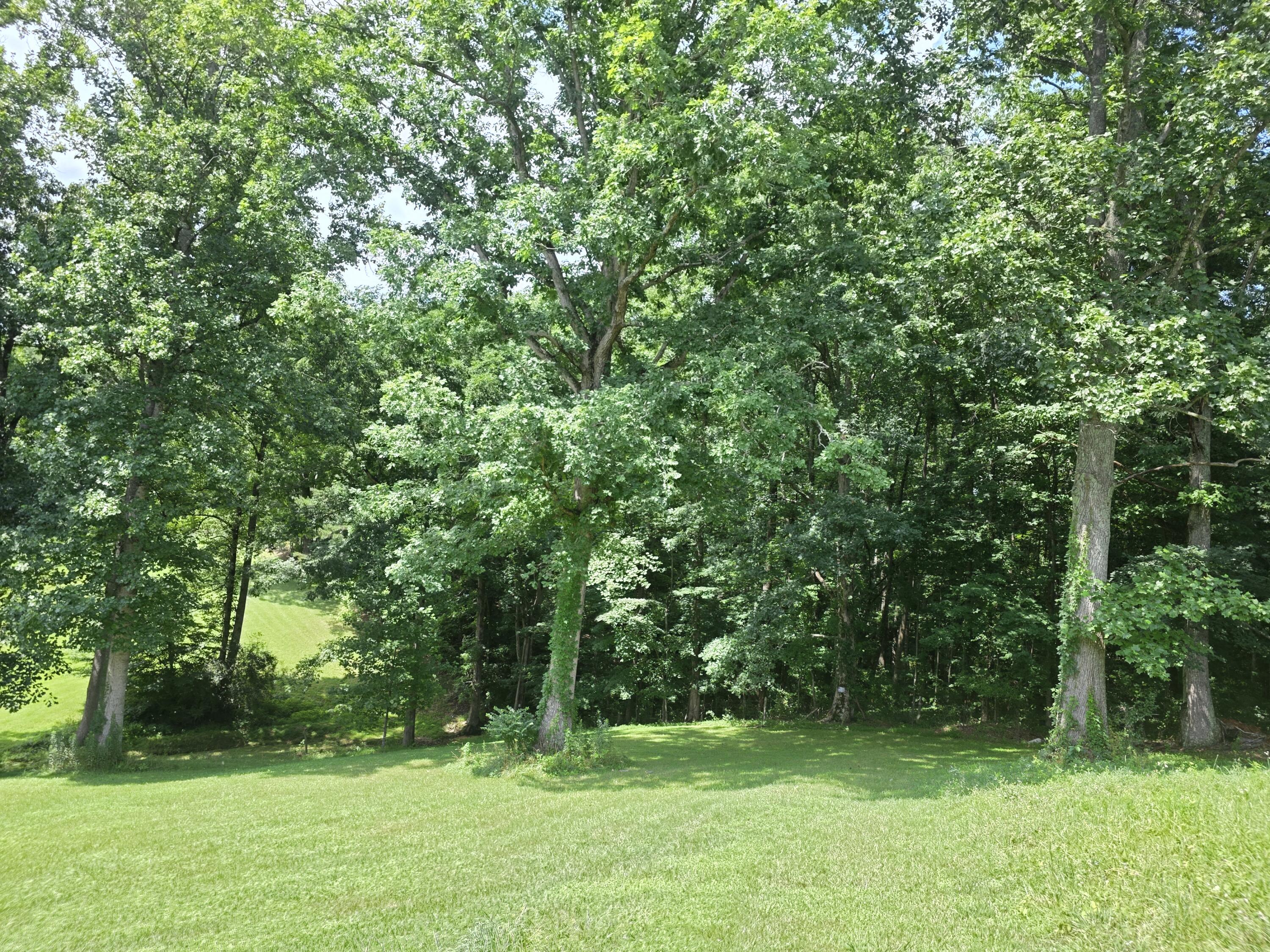 91 Blakley Subdivision Road Property Photo 21