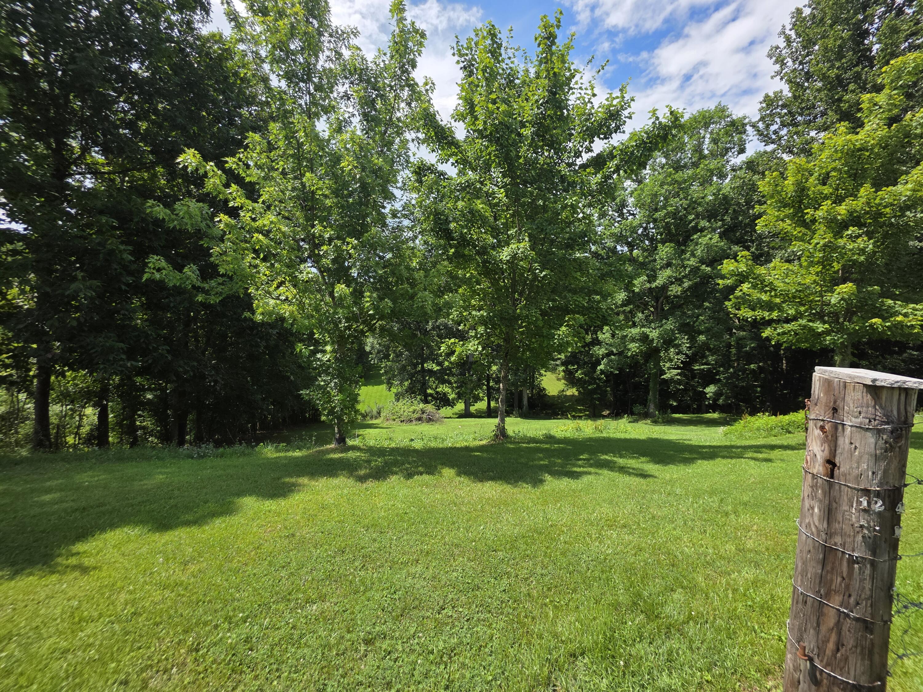 91 Blakley Subdivision Road Property Photo 22