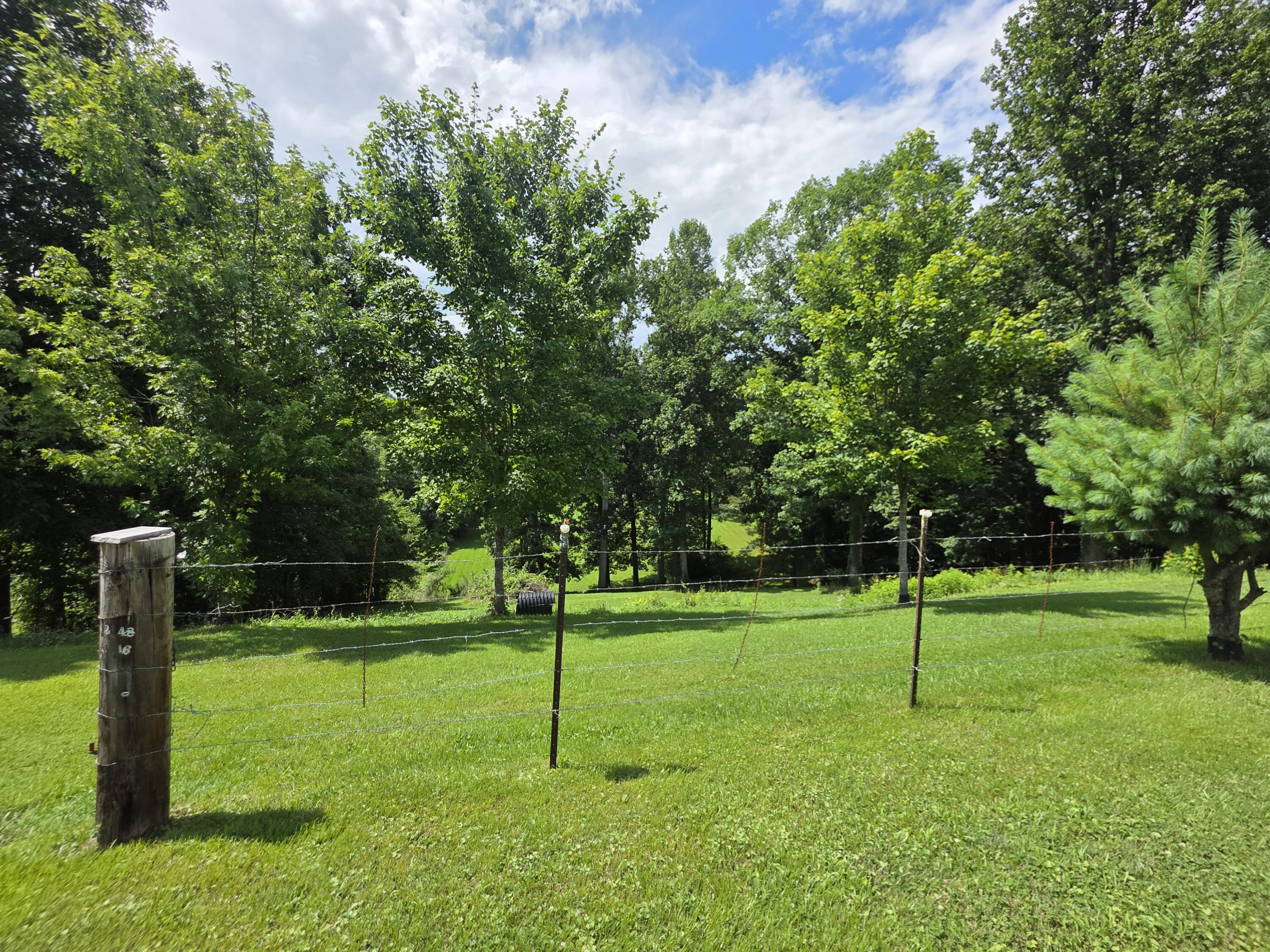 91 Blakley Subdivision Road Property Photo 23