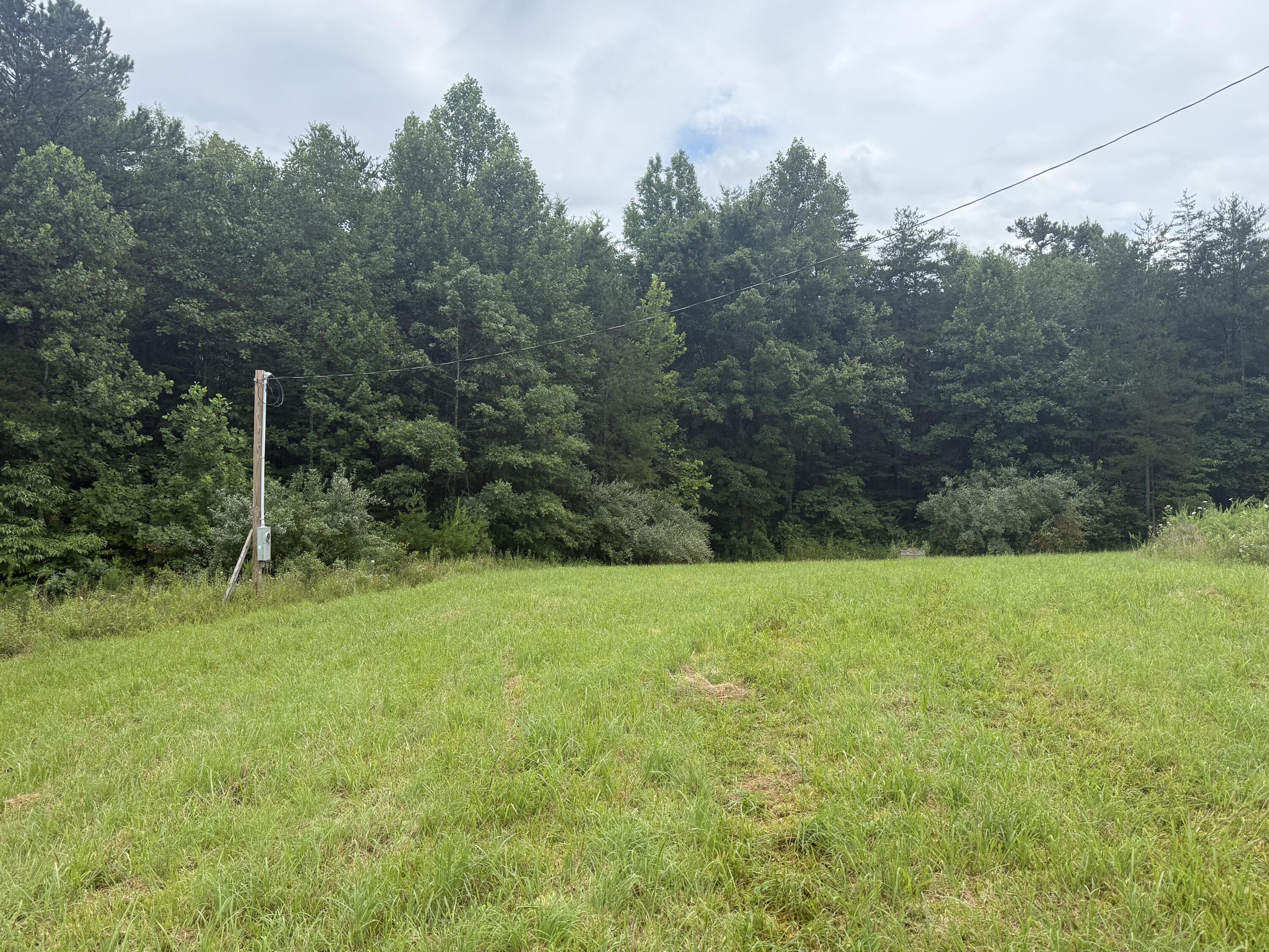 1292 White Oak Road 7 Property Photo 6