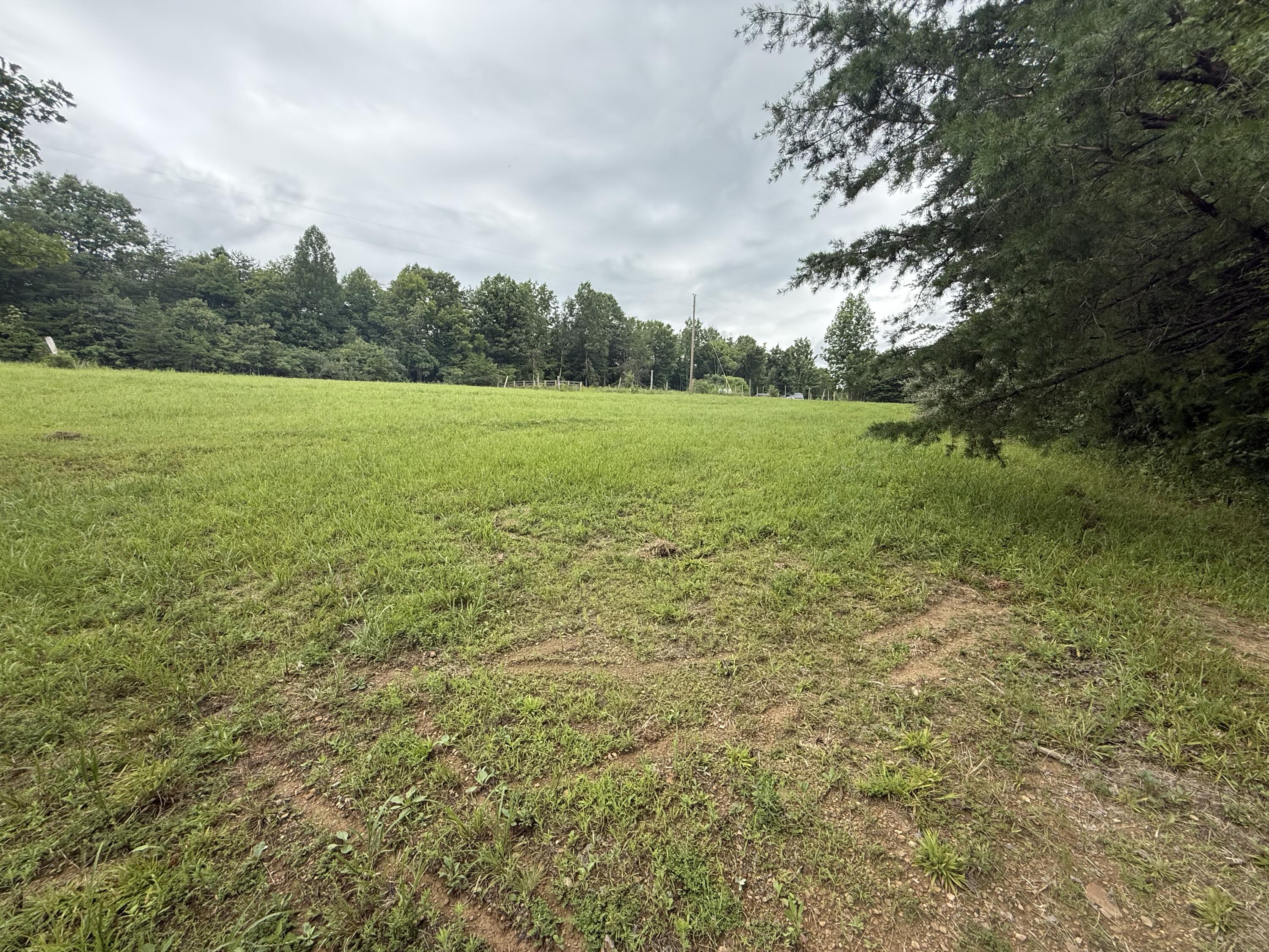 1292 White Oak Road 7 Property Photo 11