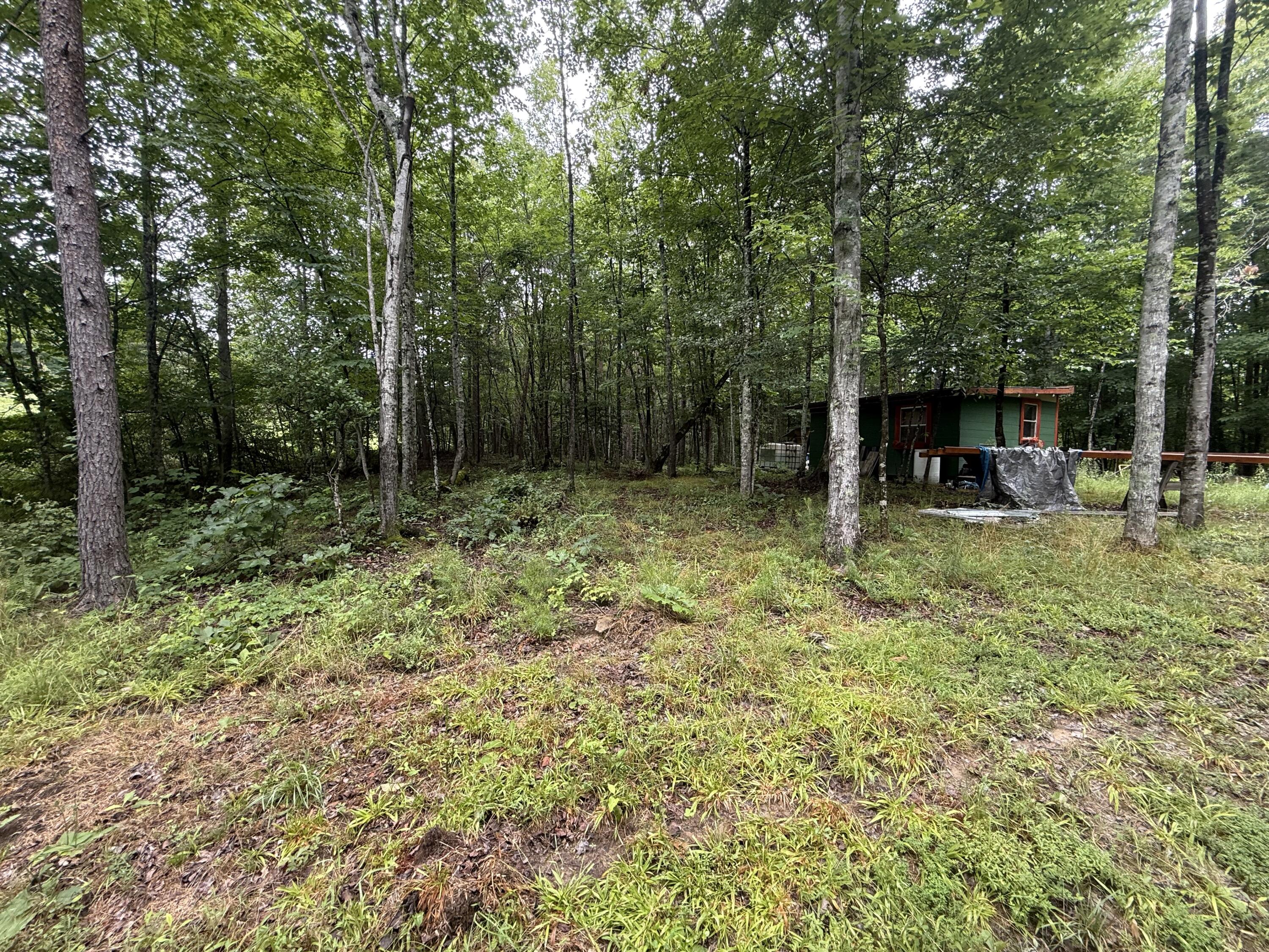 1292 White Oak Road 7 Property Photo 15