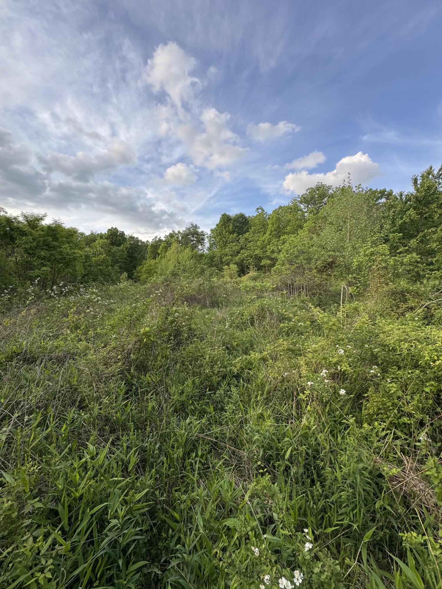 001 Fence Road Property Photo 2