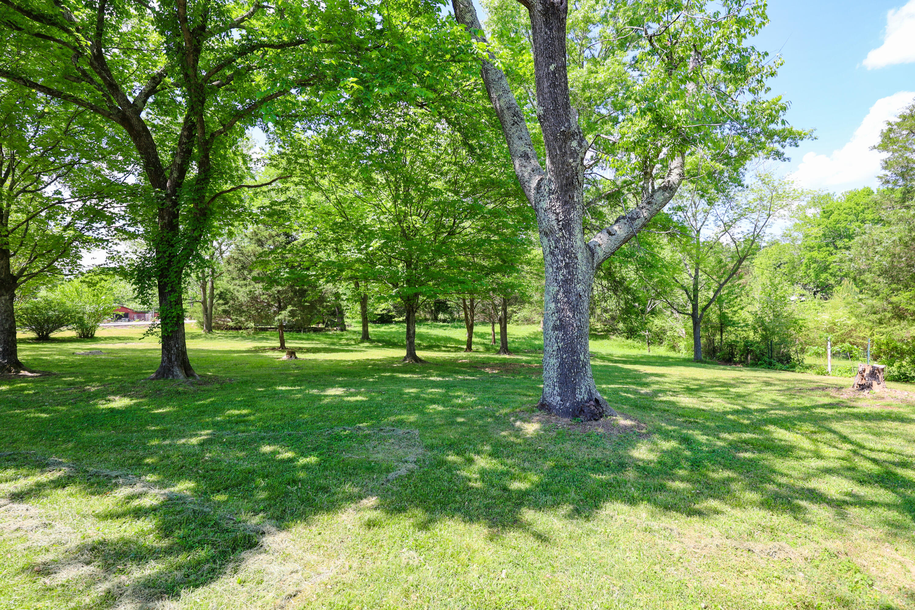 290 Cross Spann Road Property Photo 13