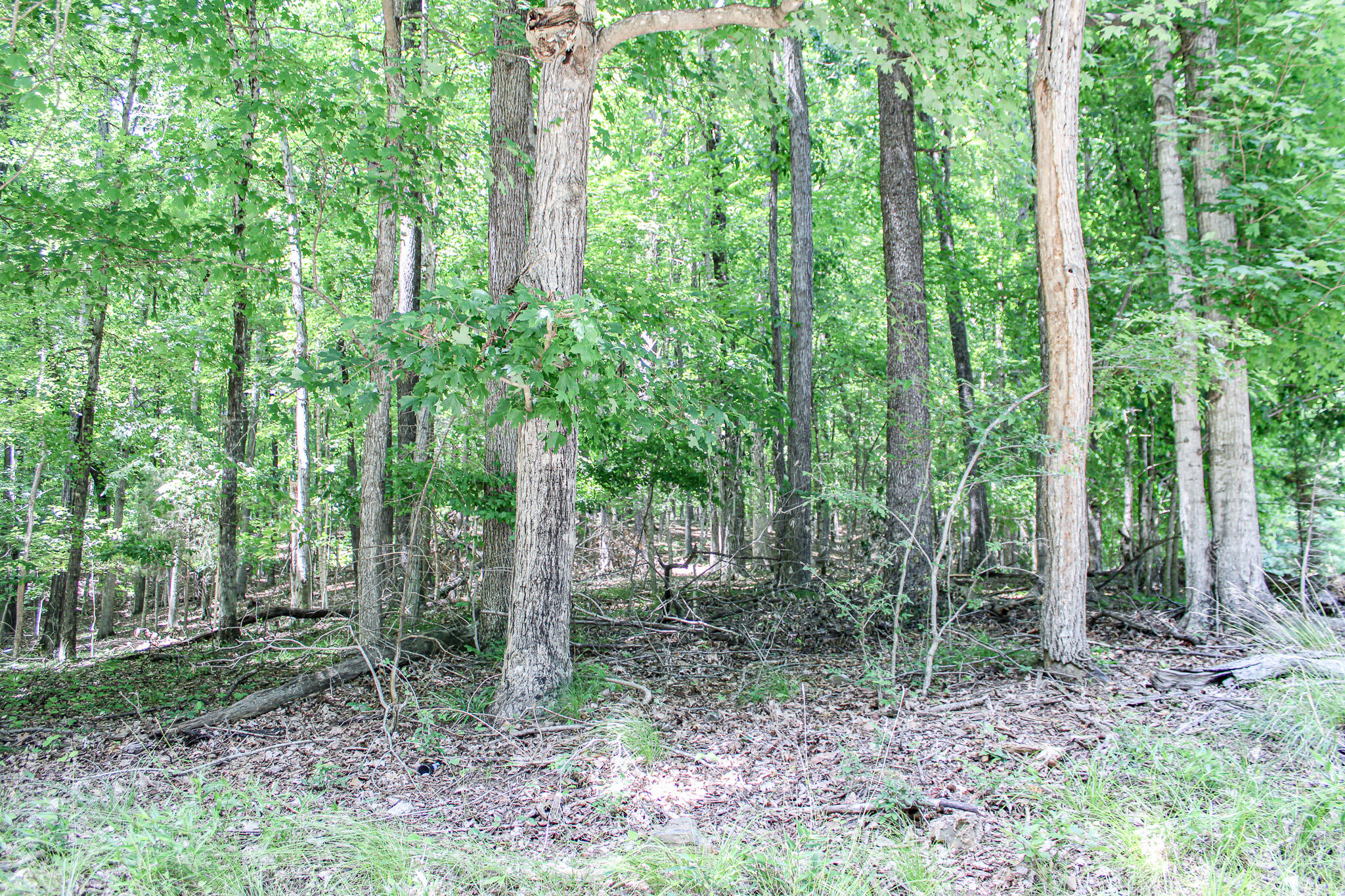 0 Algonquin Road Property Photo 6
