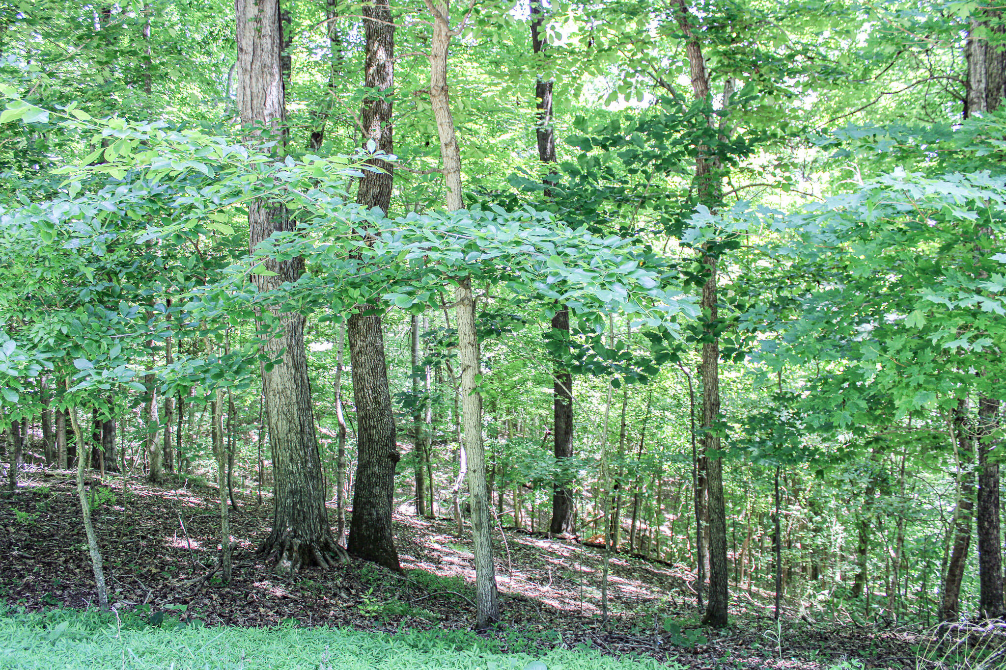 0 Algonquin Road Property Photo 7