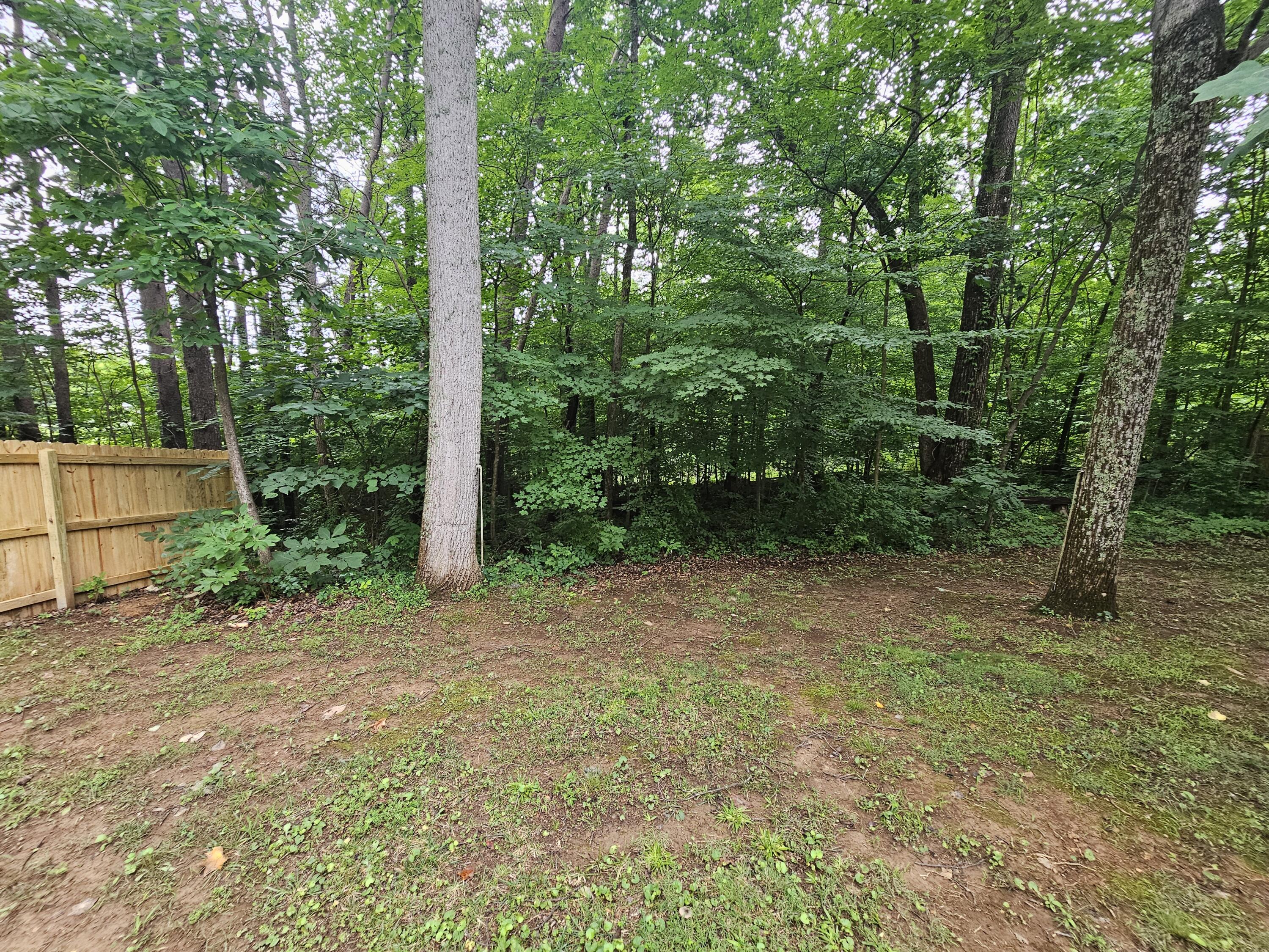 101 Cory Lane Property Photo 43