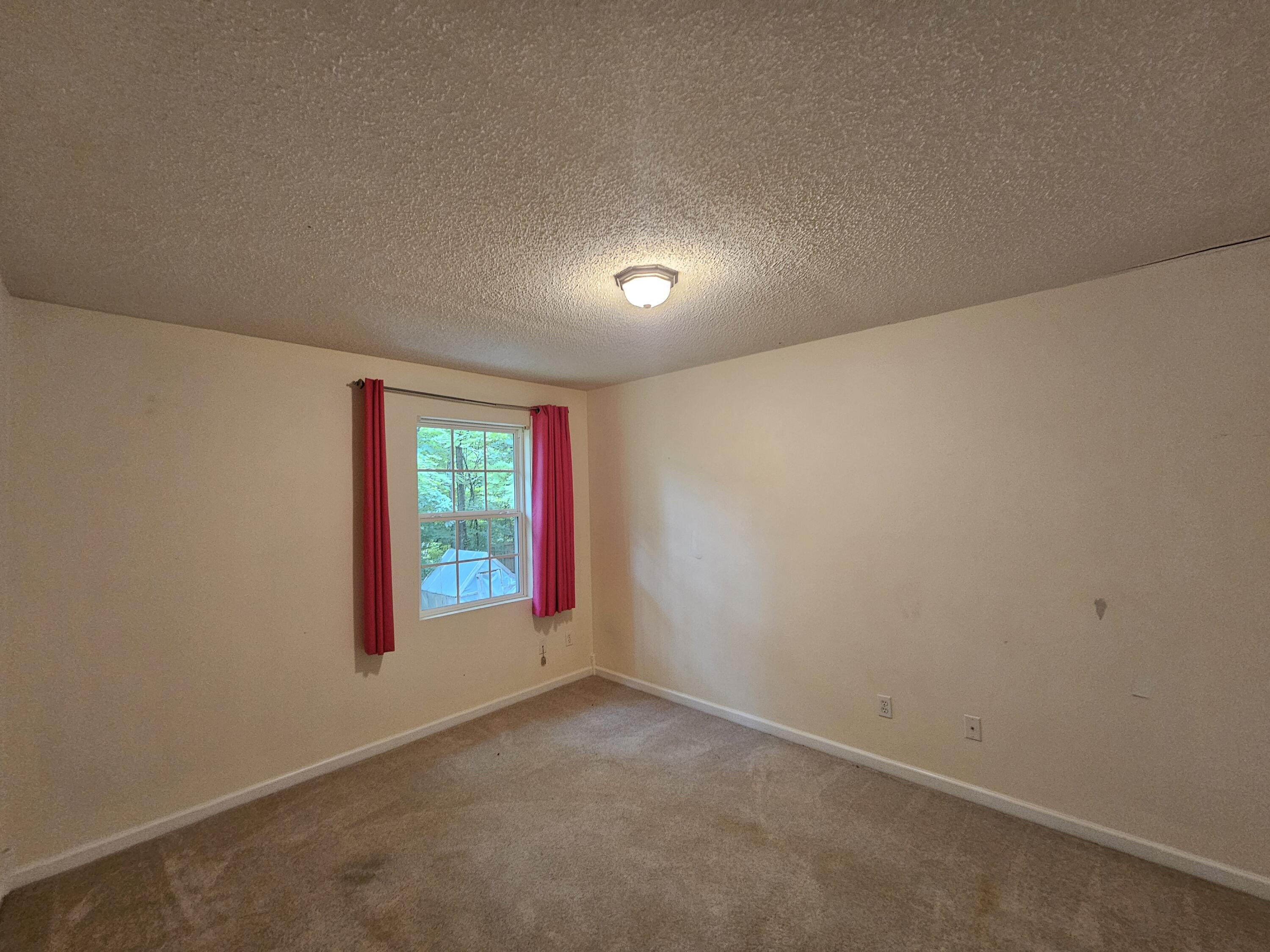 101 Cory Lane Property Photo 49
