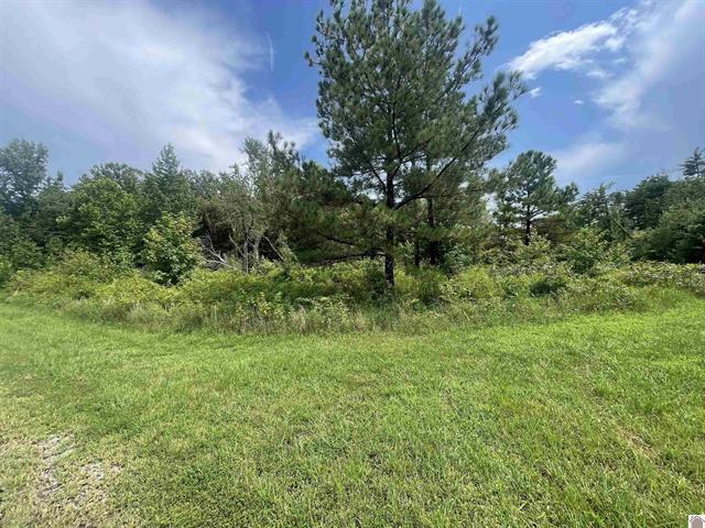 Lot #3 0 Deepwood Drive Property Photo 1