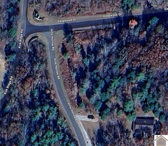 Lot #3 0 Deepwood Drive Property Photo 3