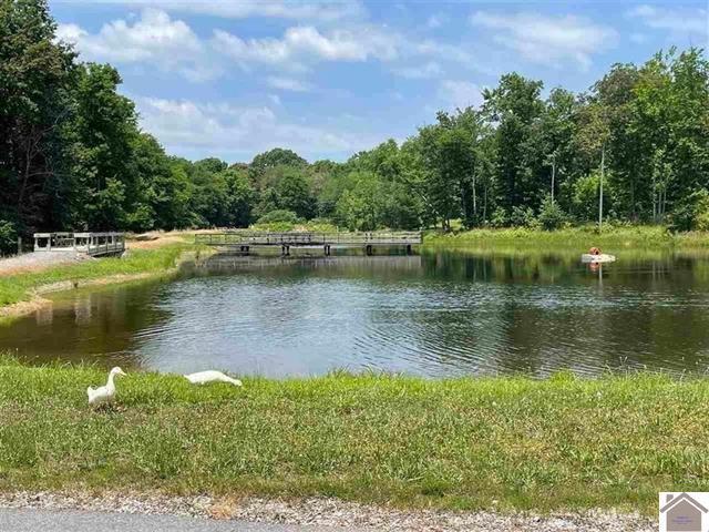 Lot #3 0 Deepwood Drive Property Photo 6