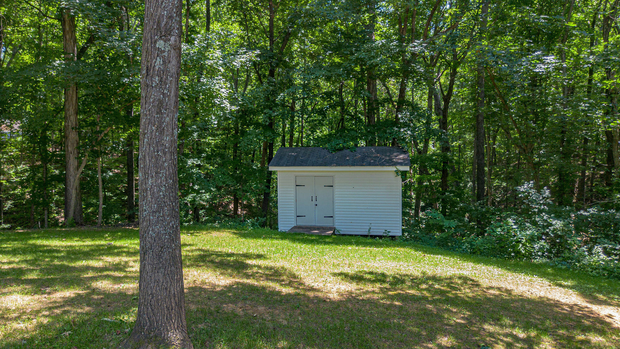 631 Chickasaw Bluff Road Property Photo 77
