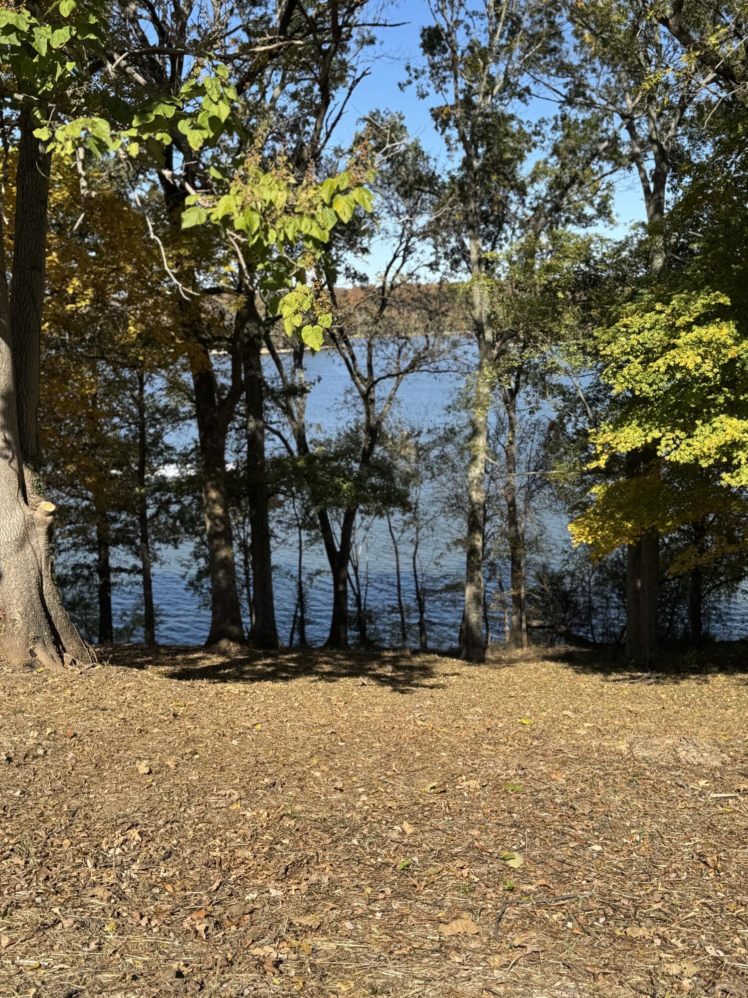 57 Cheekwood Lane Property Photo 7