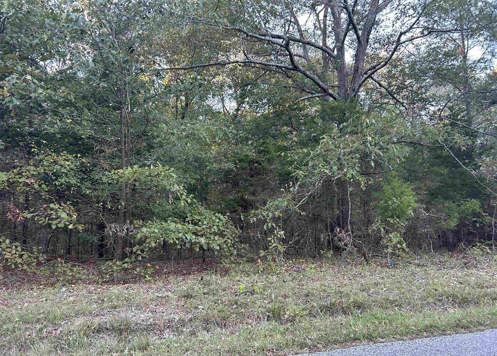 Lot 2 Beal Road Property Photo 1