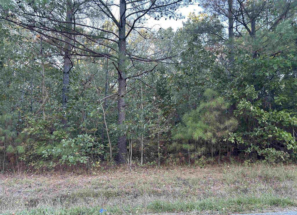 Lot 2 Beal Road Property Photo 2