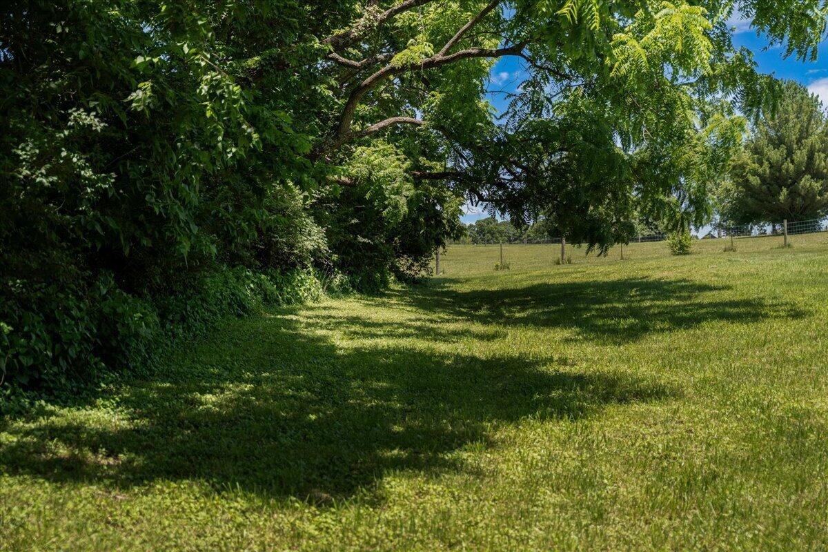 255 Galloway Road Property Photo 91