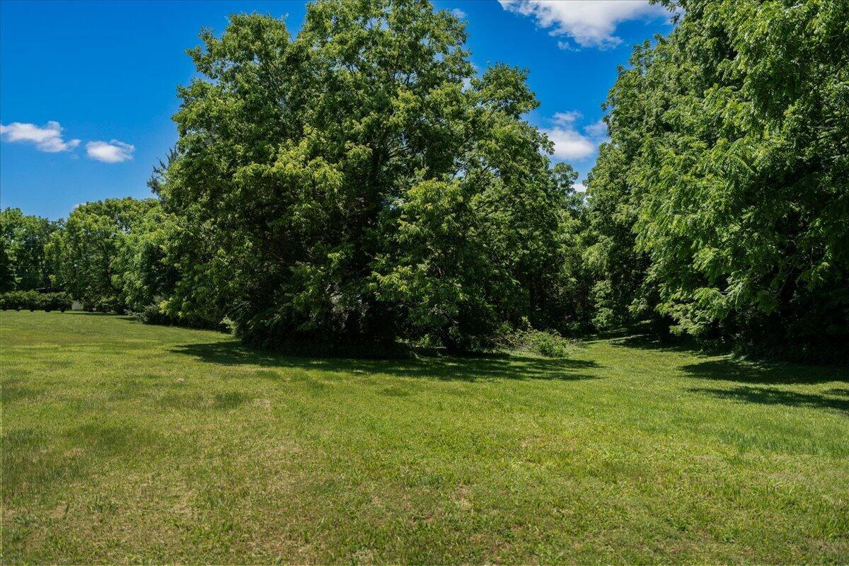 255 Galloway Road Property Photo 92