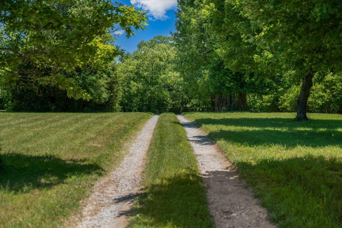 255 Galloway Road Property Photo 93