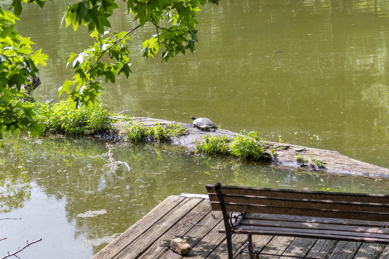 331 Pollard Circle Property Photo 32