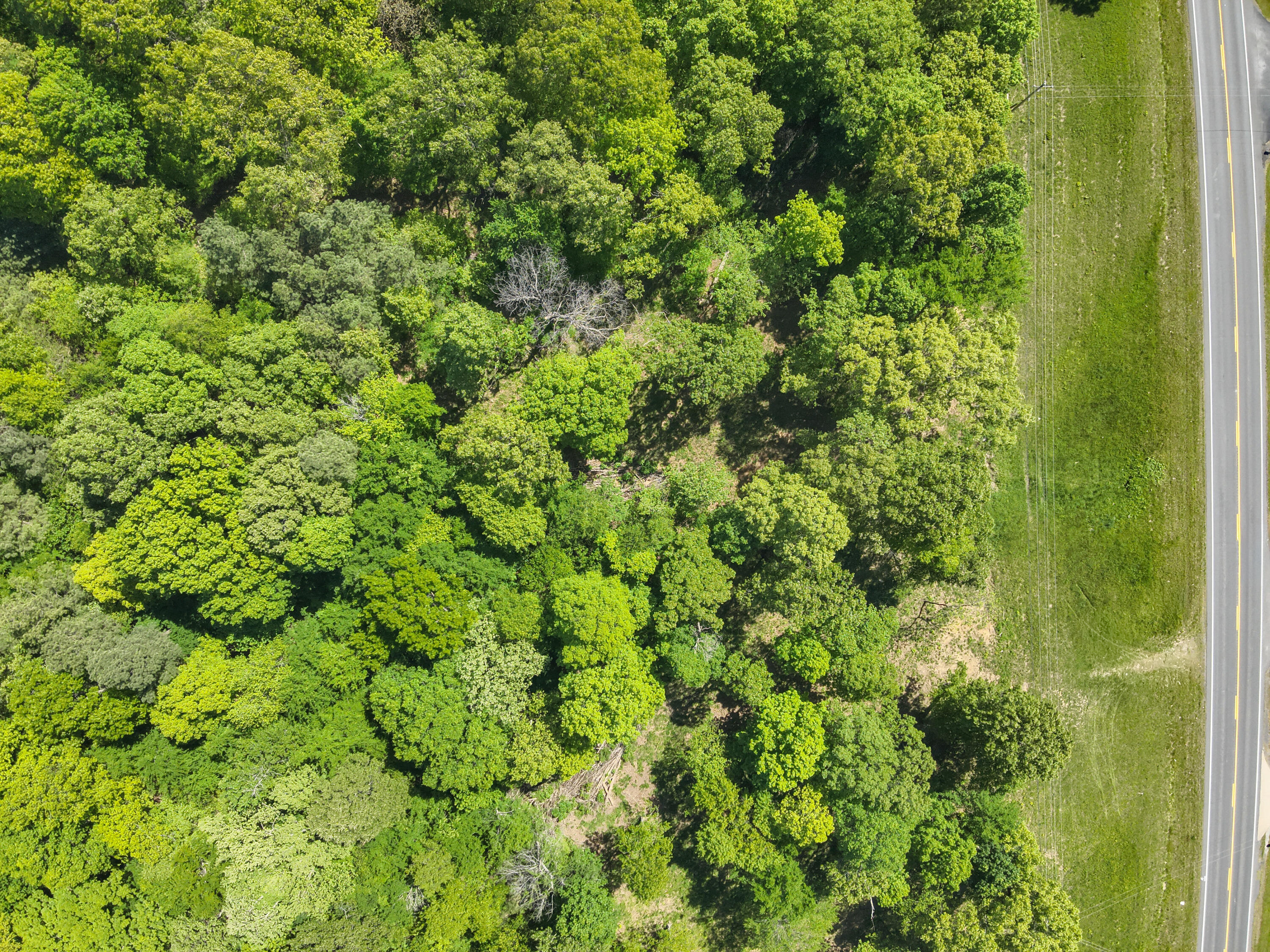 000 Highway 62 Property Photo 1