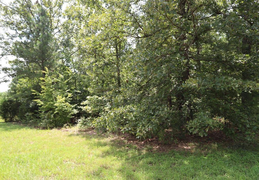 Lot 46 Waterfowl Lane Property Photo 4