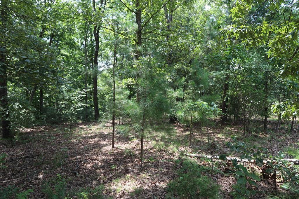 Lot 46 Waterfowl Lane Property Photo 5