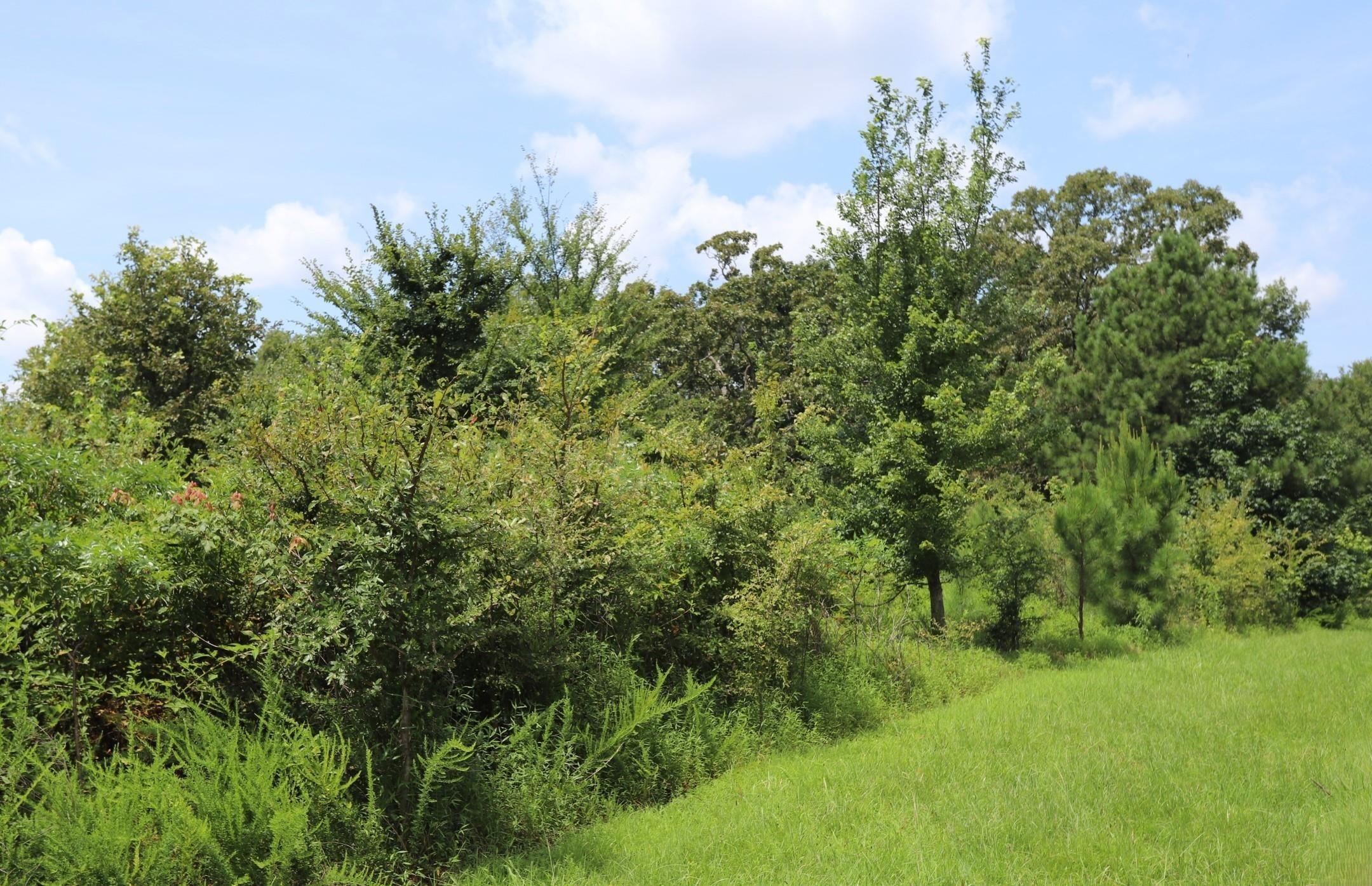 Lot 58 Kirk Ridge Drive Property Photo 1