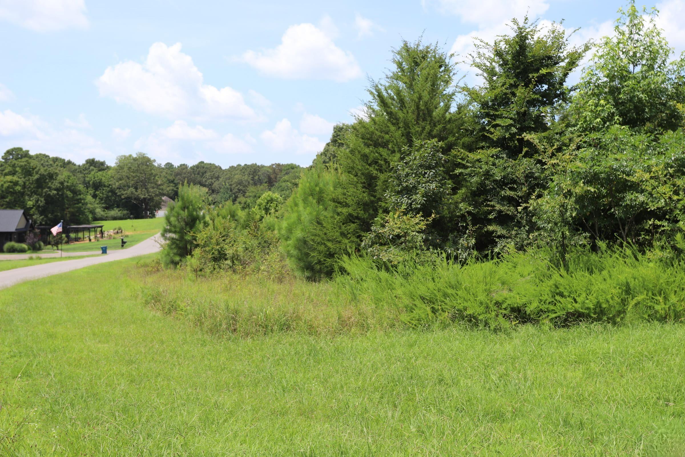 Lot 58 Kirk Ridge Drive Property Photo 3
