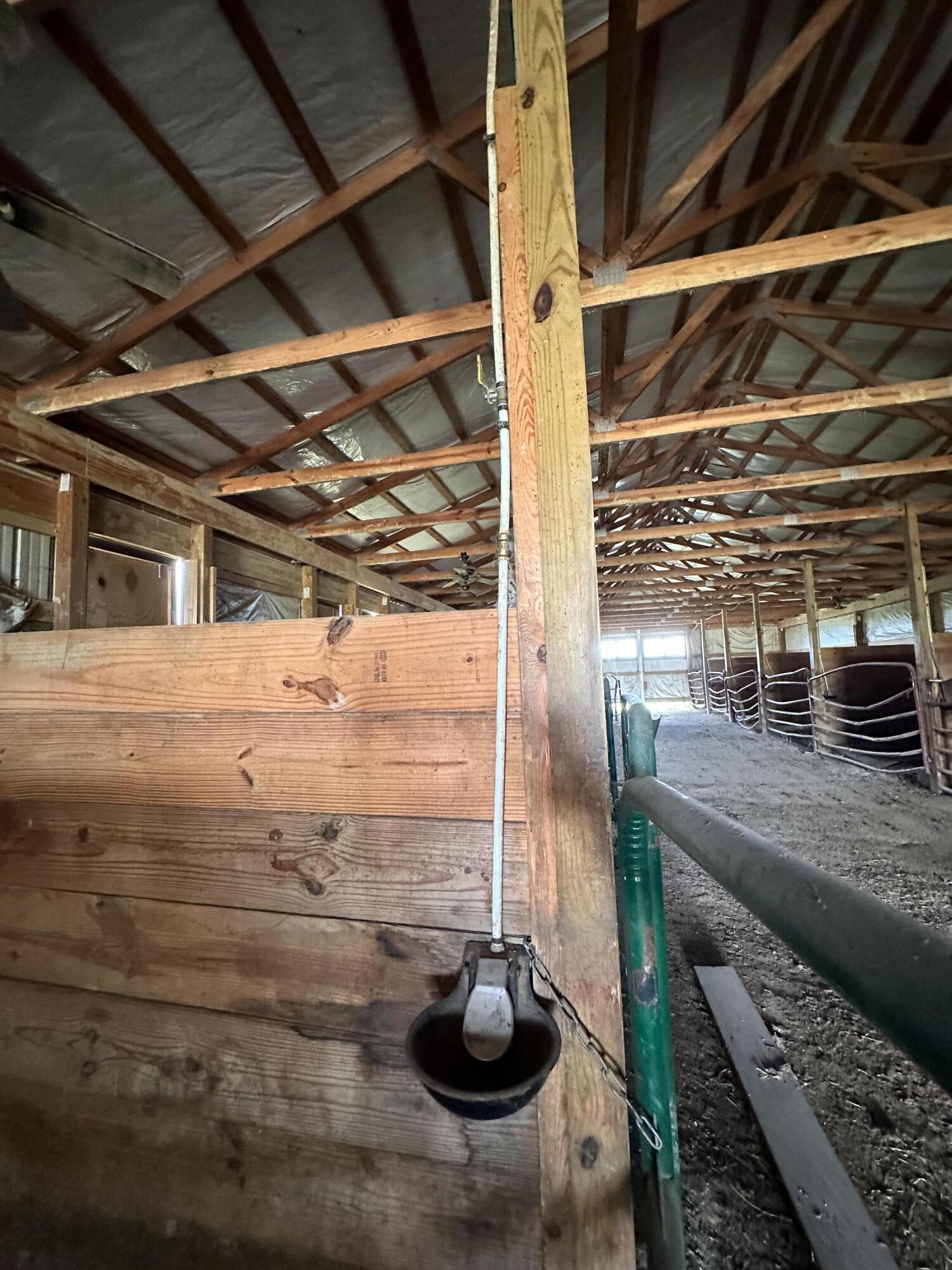 1502 Cane Run Road Property Photo 30