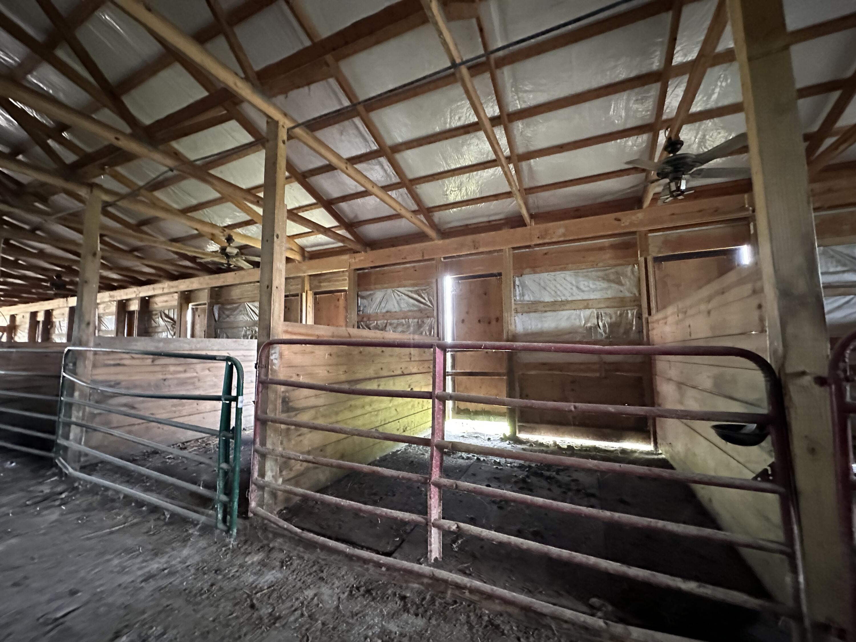 1502 Cane Run Road Property Photo 32