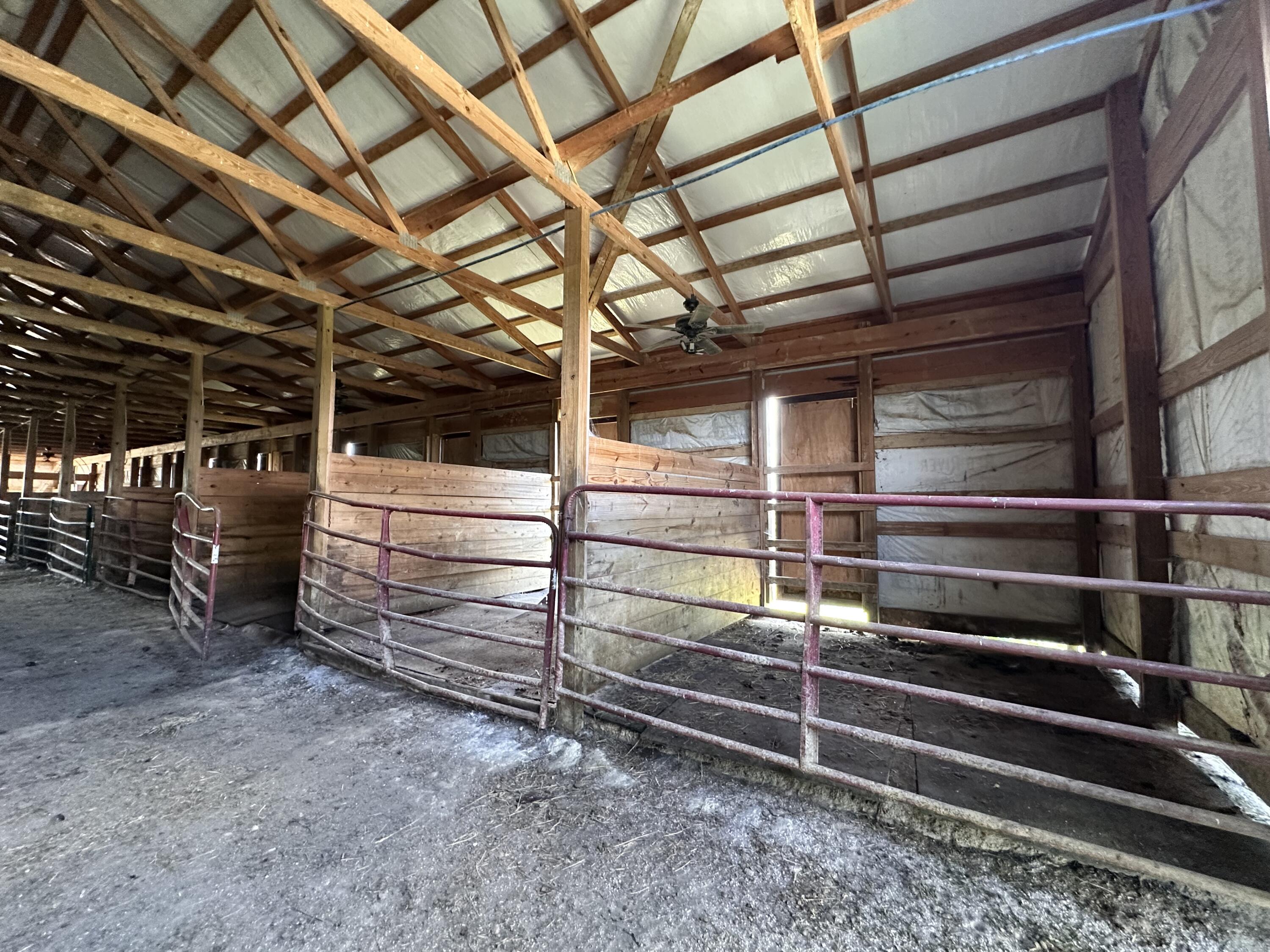 1502 Cane Run Road Property Photo 33