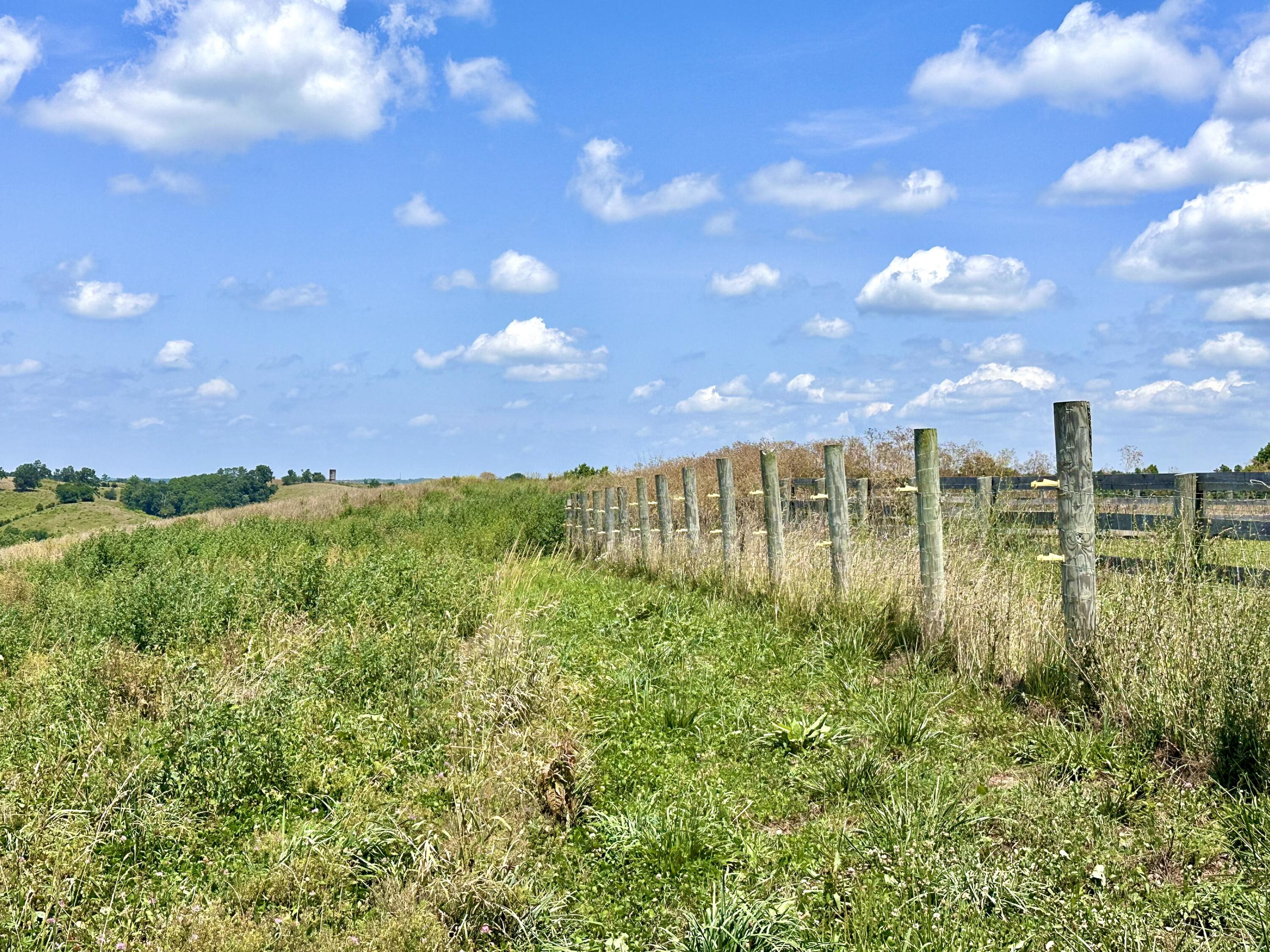 1502 Cane Run Road Property Photo 61