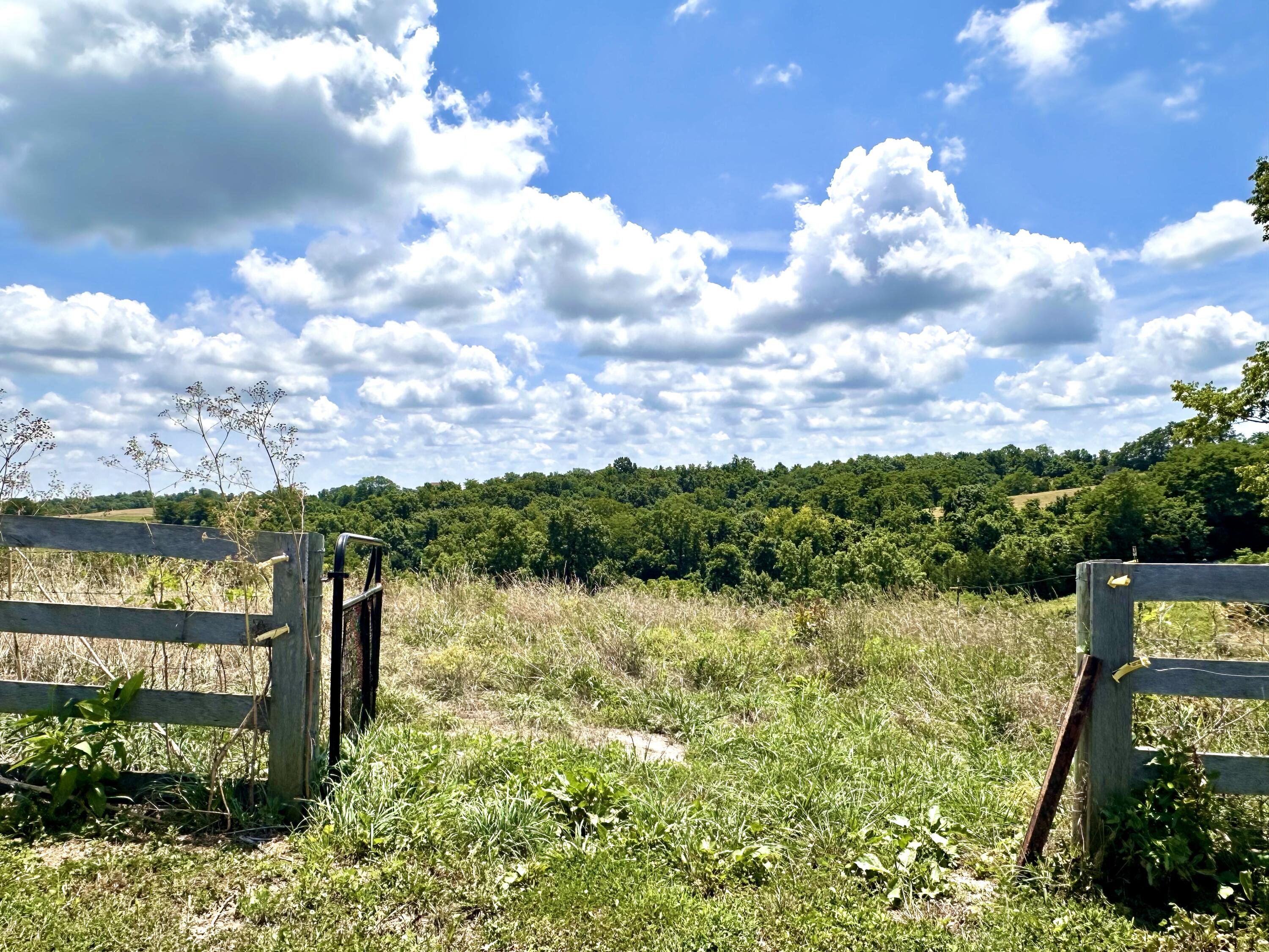 1502 Cane Run Road Property Photo 65