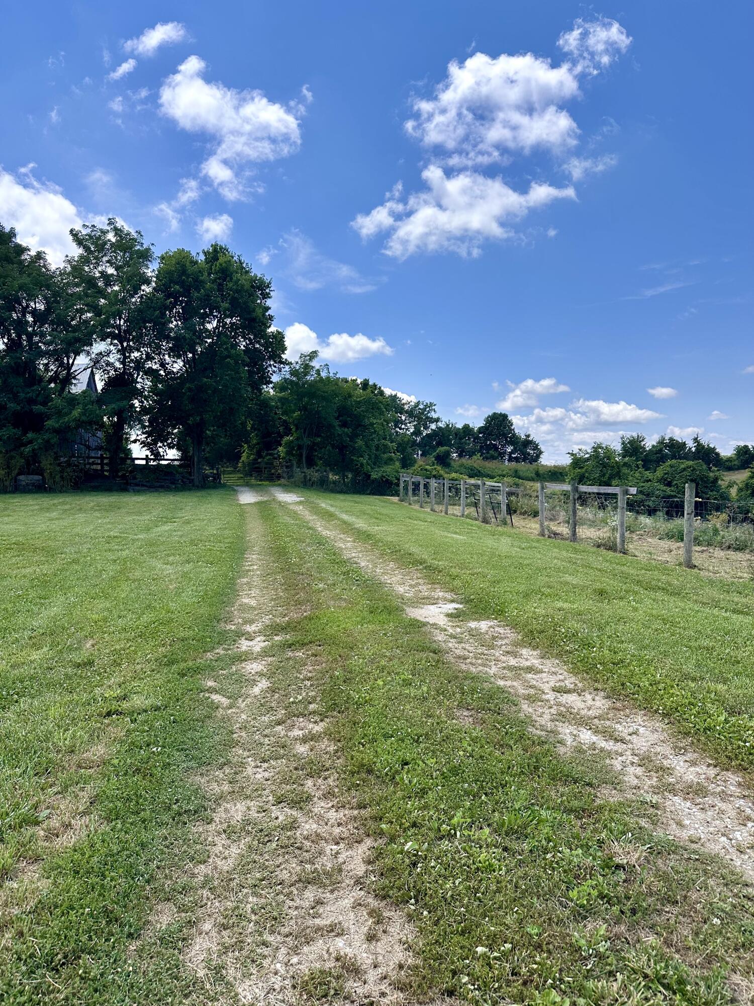 1502 Cane Run Road Property Photo 71