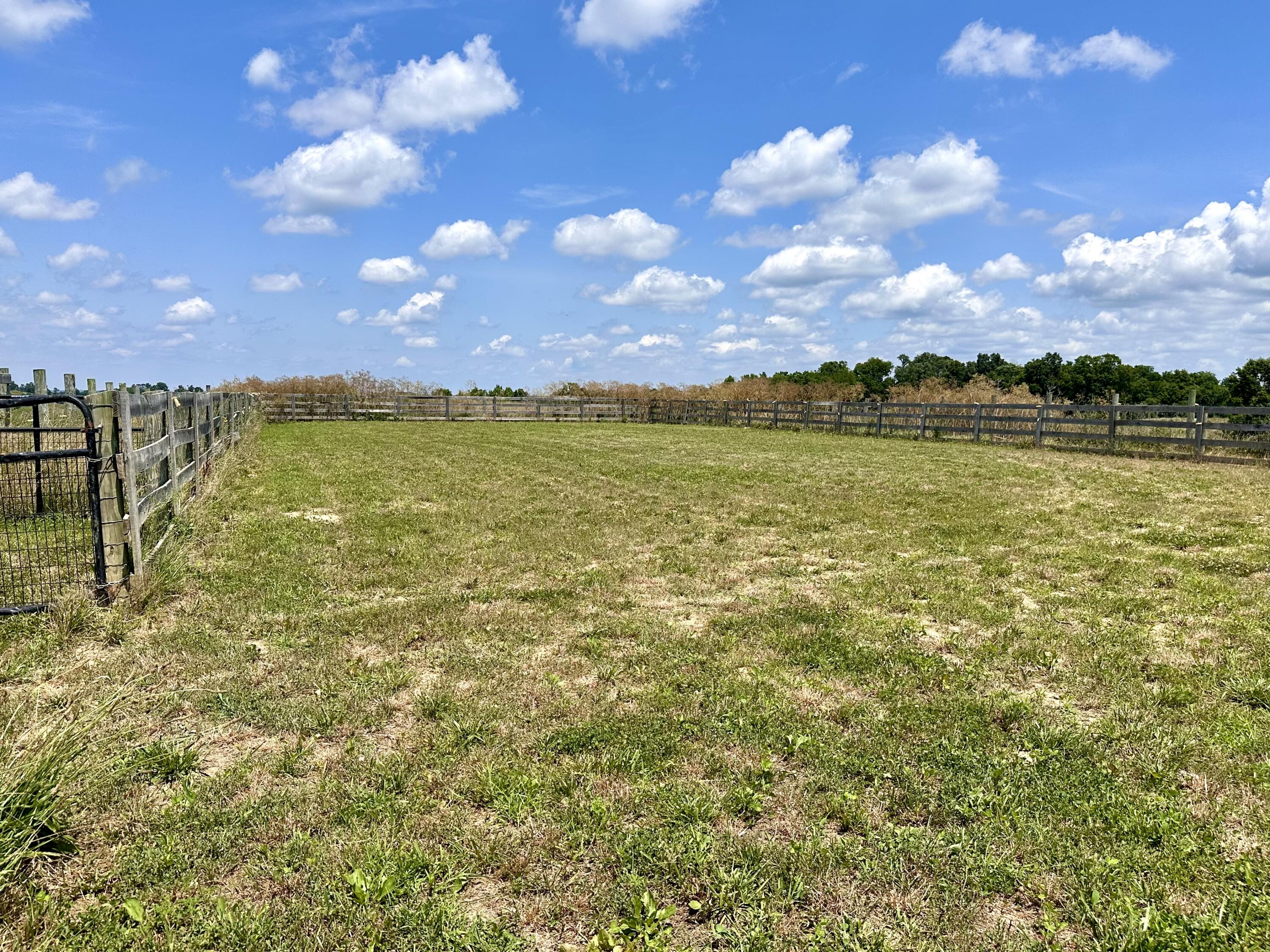 1502 Cane Run Road Property Photo 74
