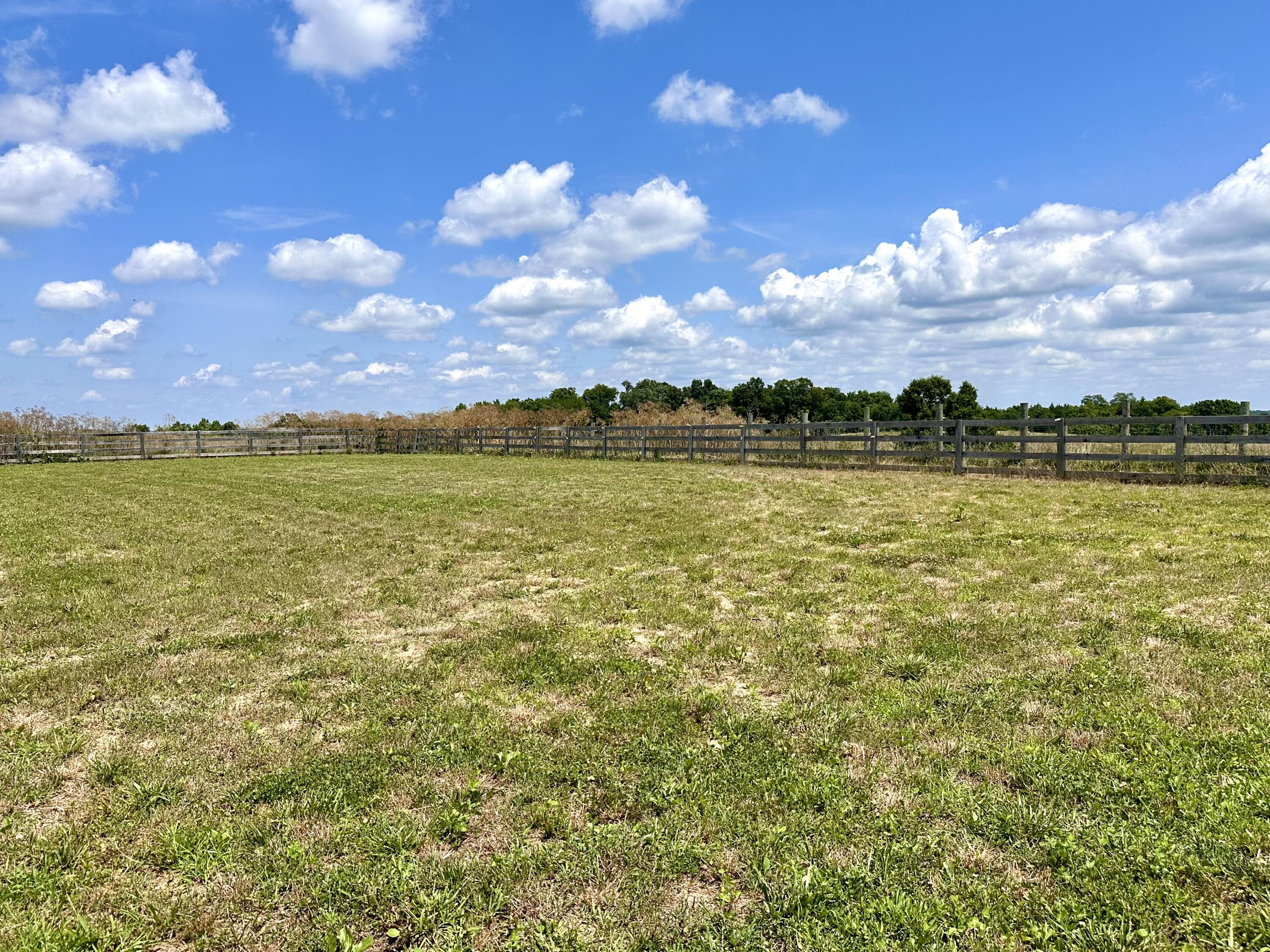 1502 Cane Run Road Property Photo 77