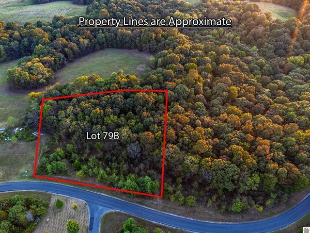 Lot 79b & 80 Waterfowl Road Property Photo 4