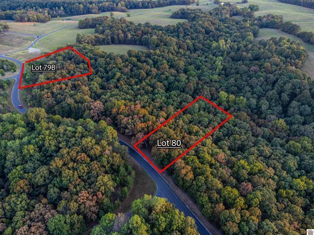 Lot 79b & 80 Waterfowl Road Property Photo 8