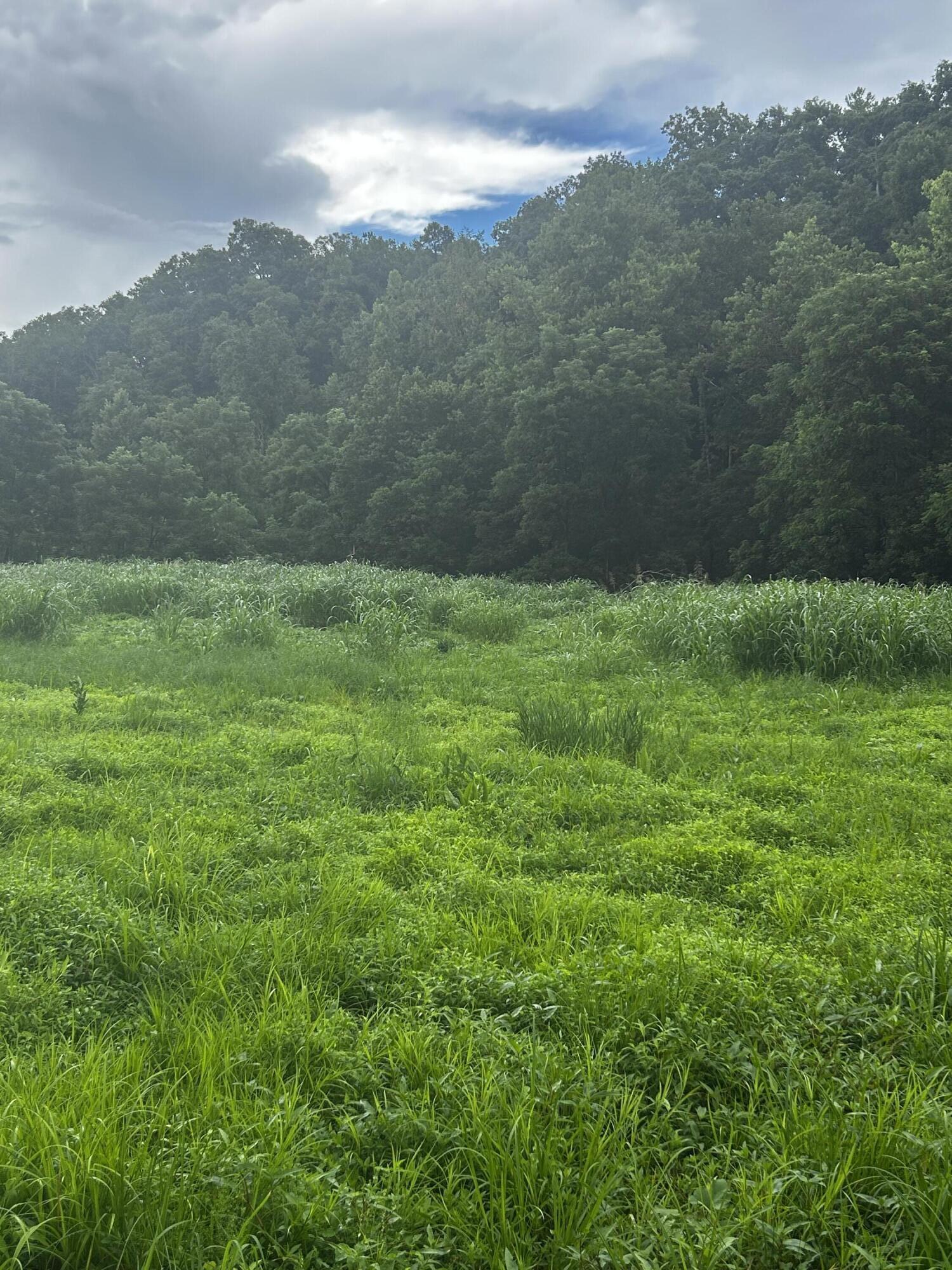 687 H M Garrison Rd Road Property Photo 1